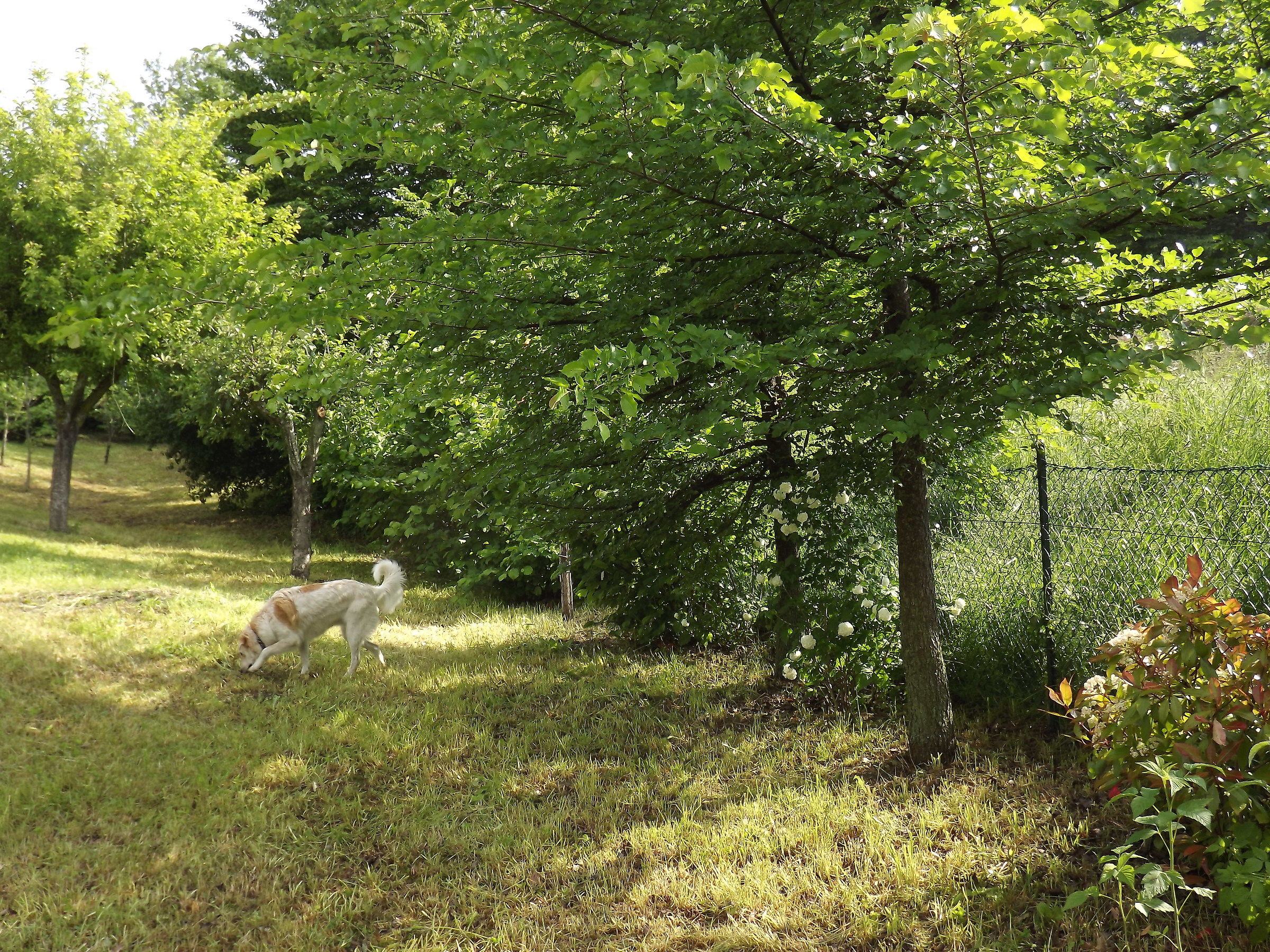 Valbucciana -Villa Minozzo  (re)