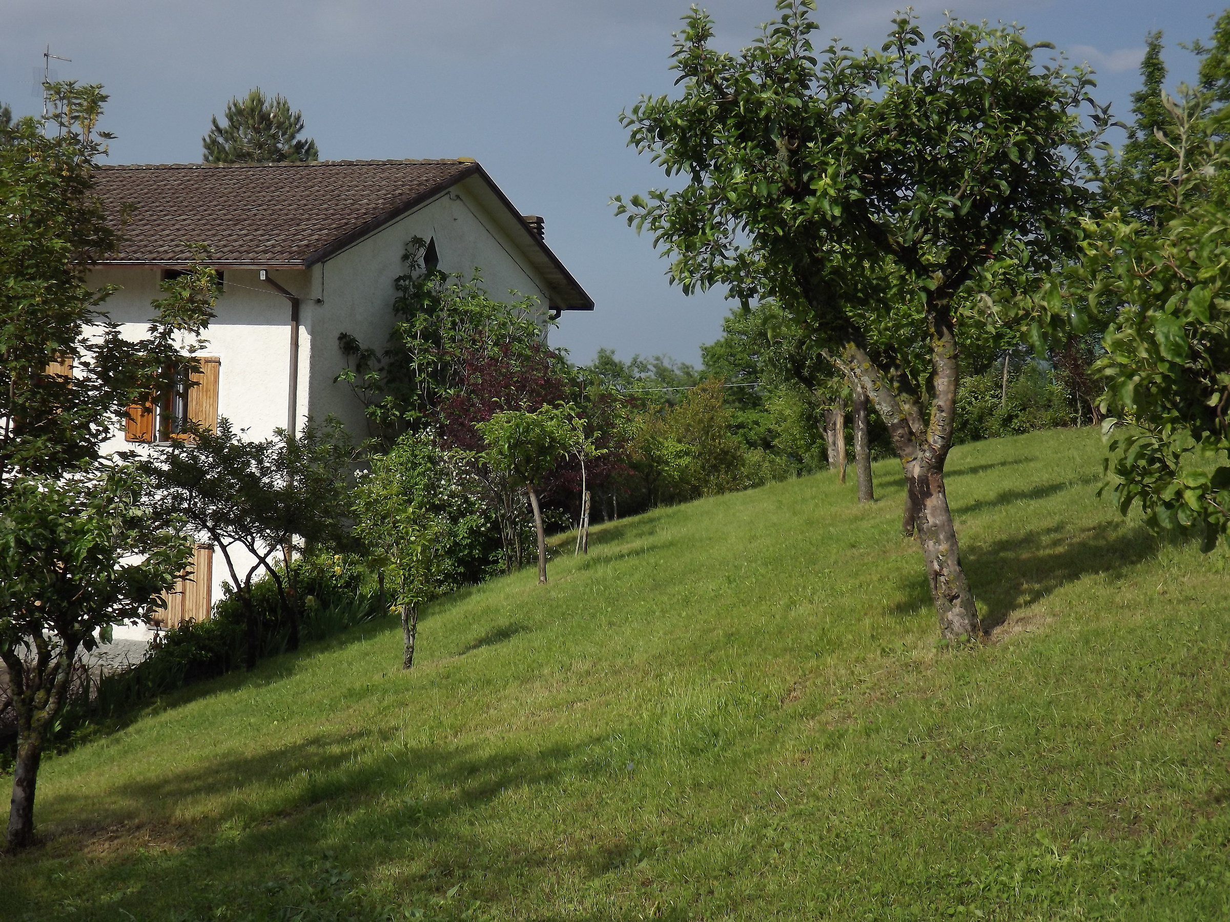 Valbucciana Villa Minozzo  (re)