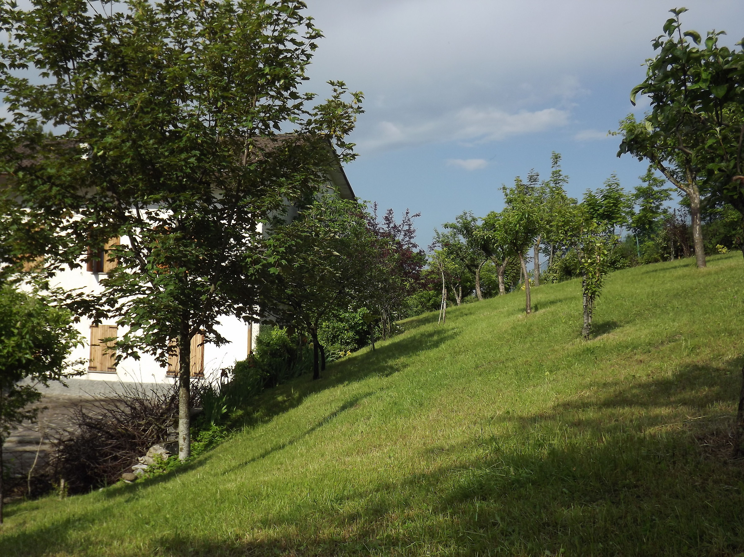 Valbucciana Villa Minozzo  (re)