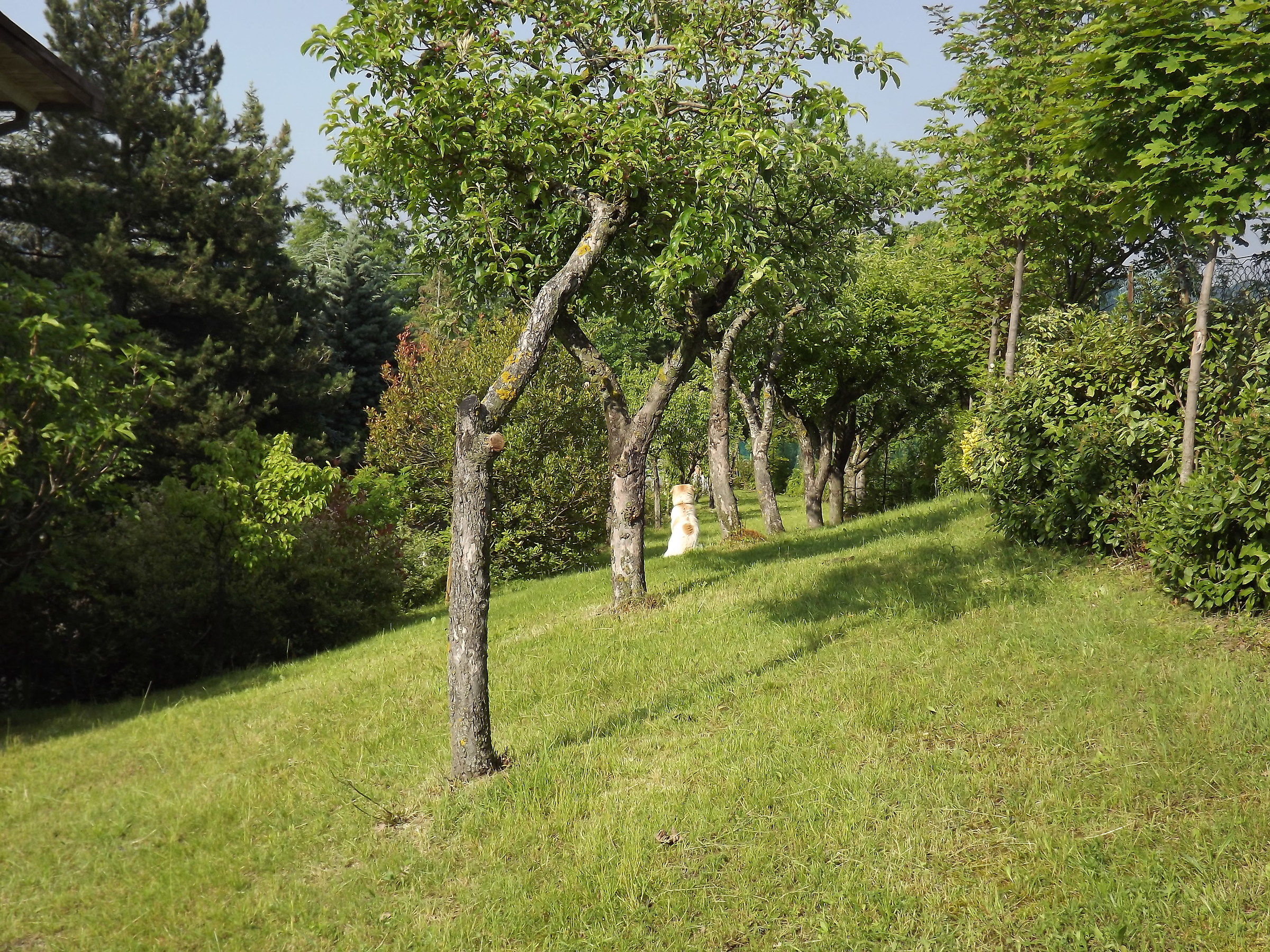 Valbucciana -VIlla Minozzo  (re)