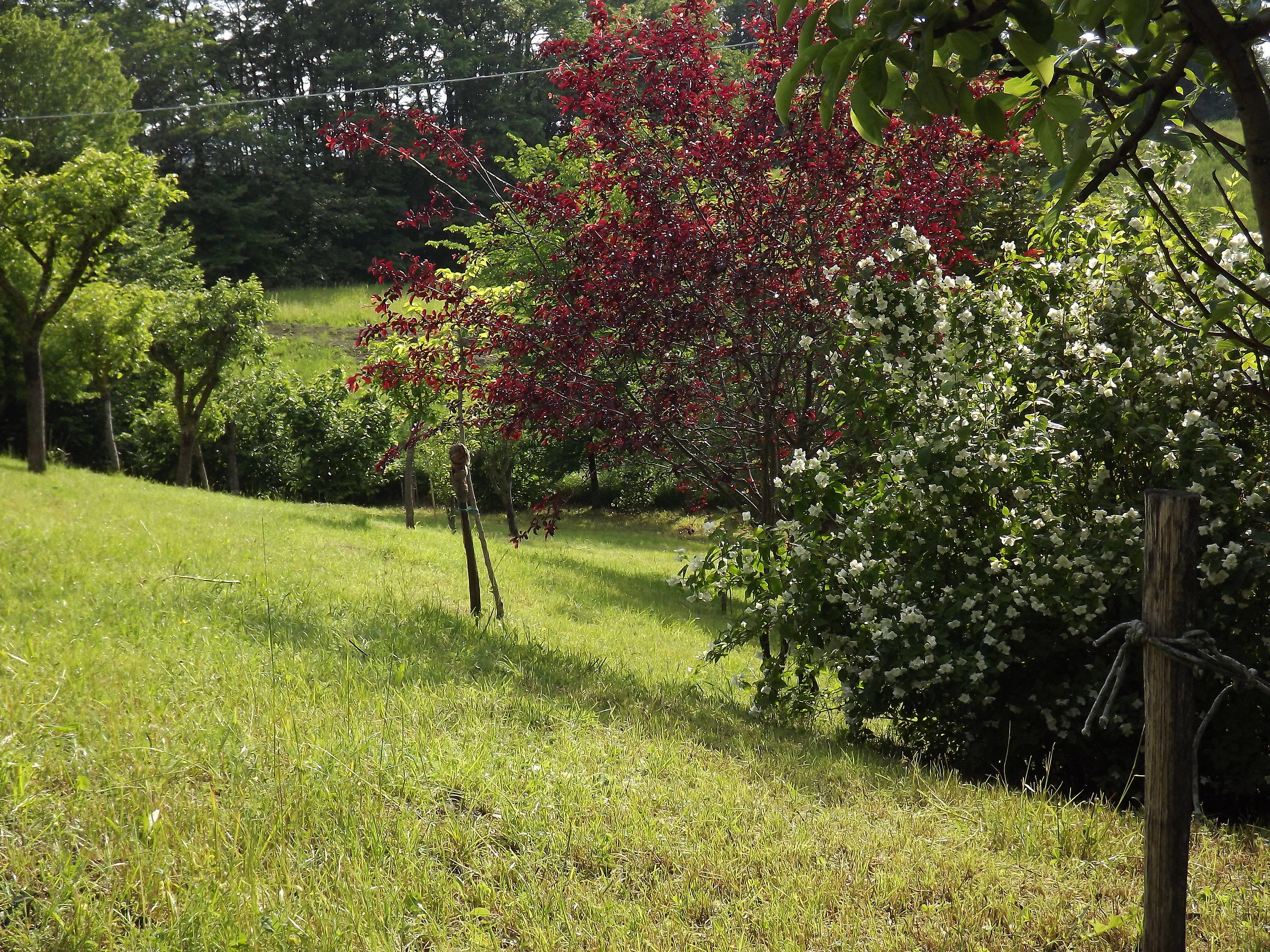 Valbucciana  Villa Minozzo  (re)