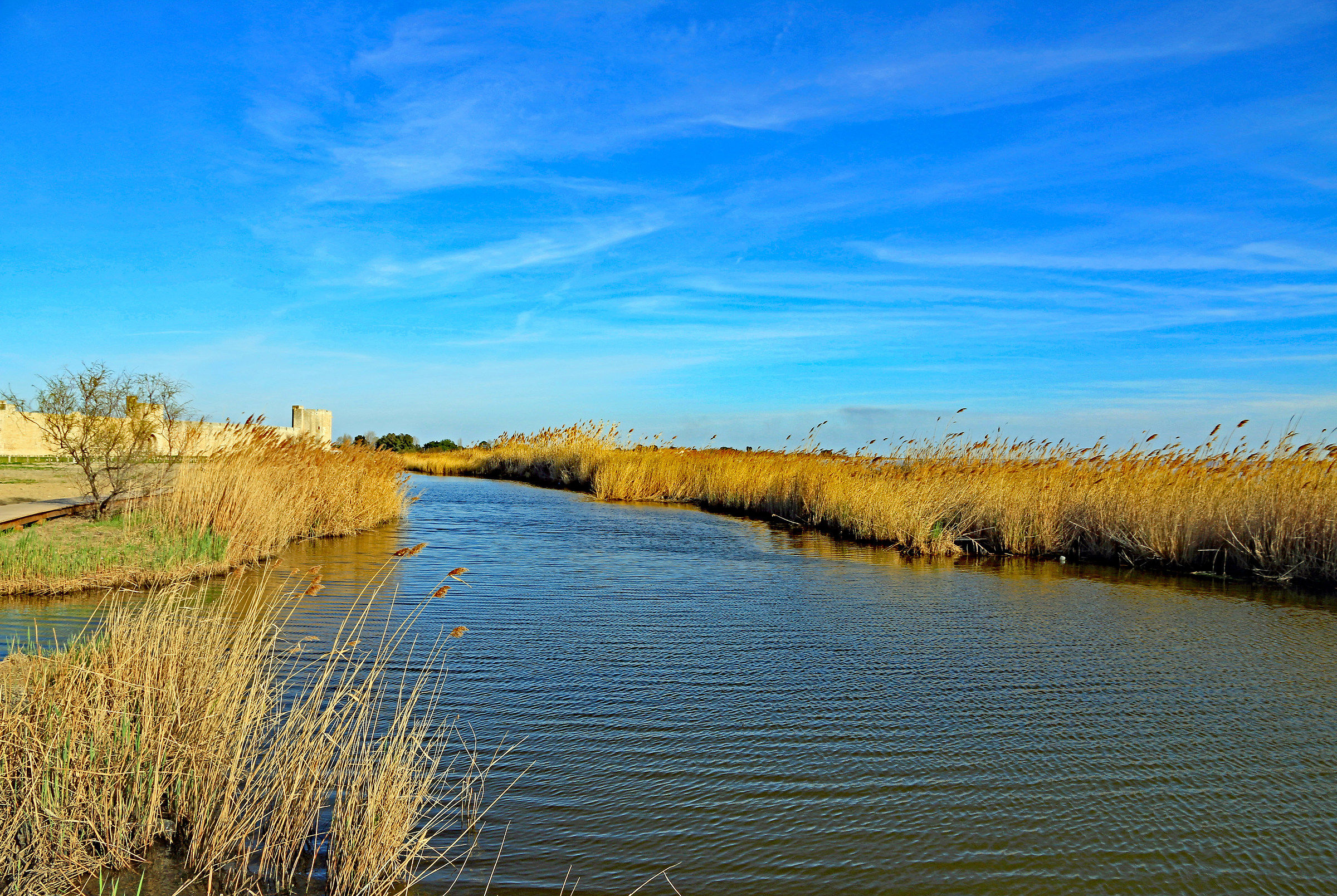 Camargue: Paesaggio intorno ad Aigues Mortes