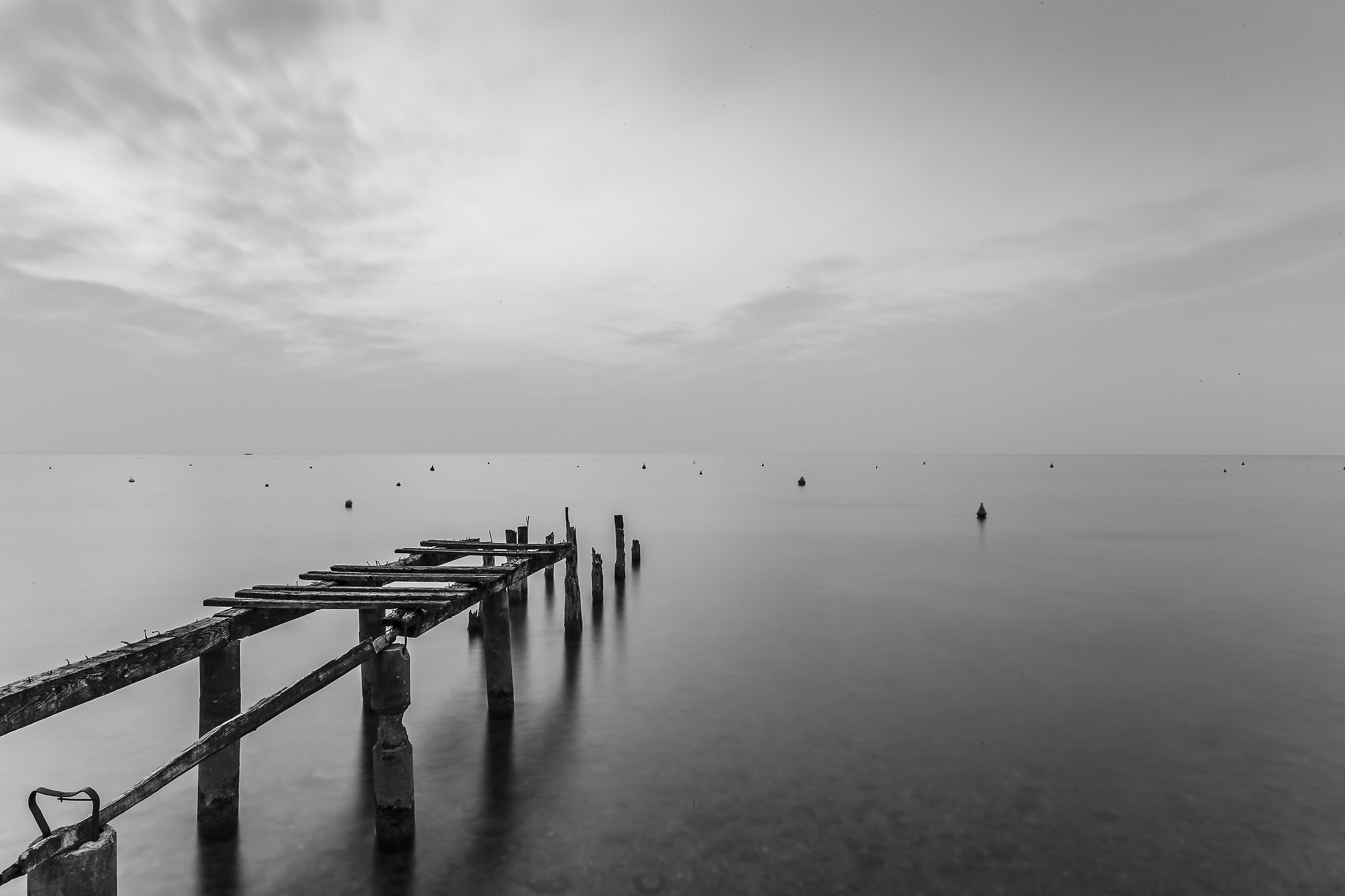 The pontoon version b \ w