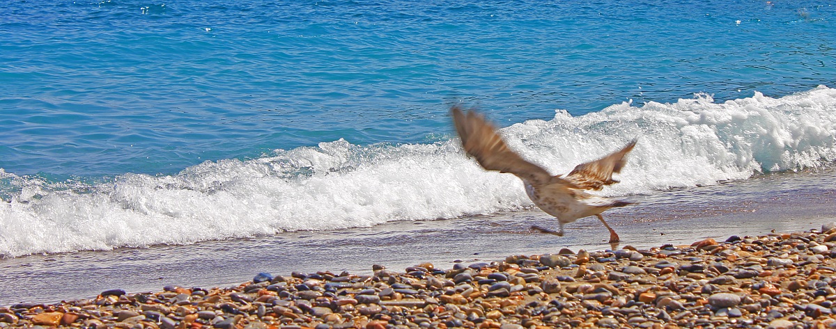 Verso una nuova meta...