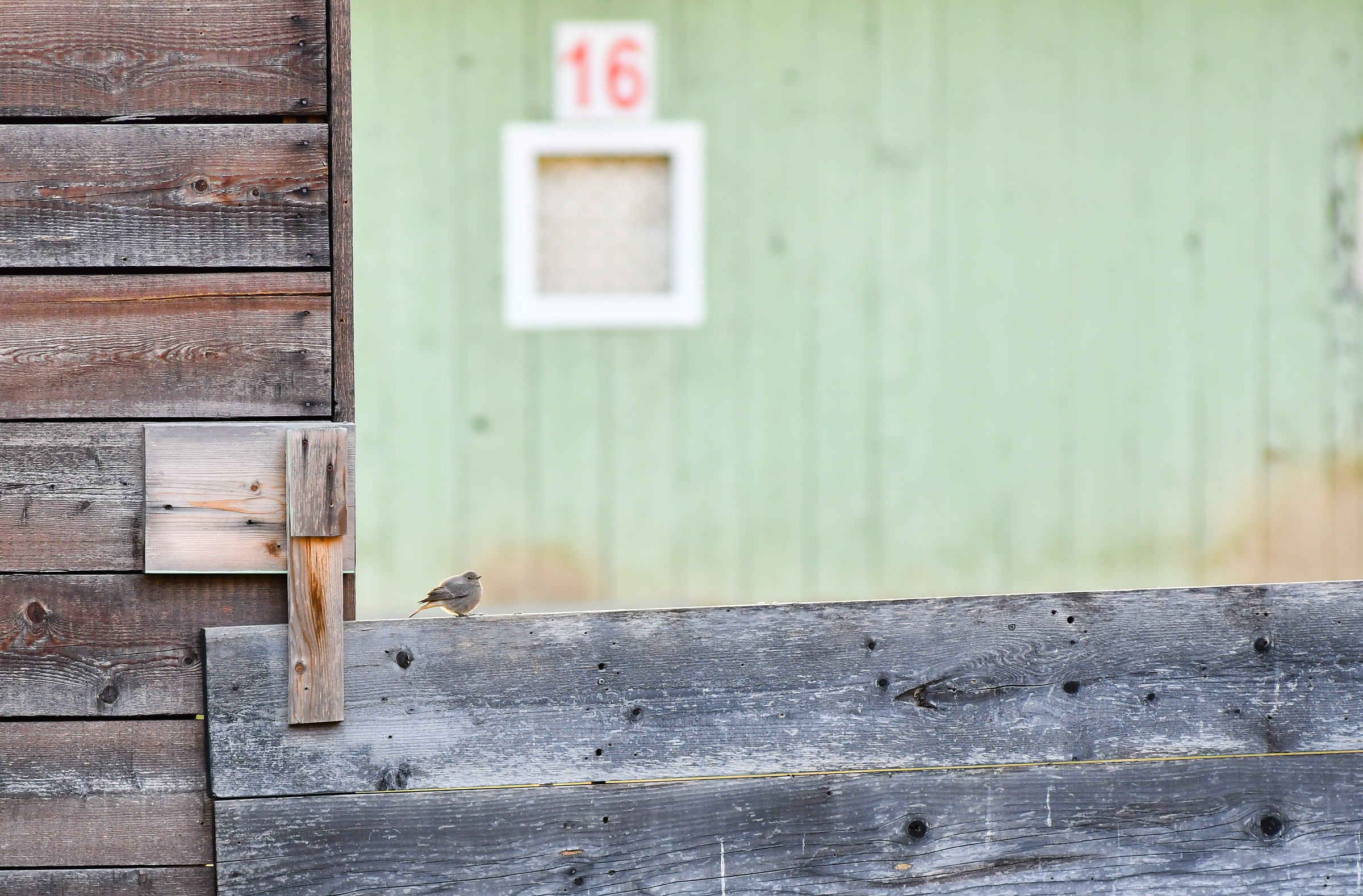 Shoot, shoot ... I know so much that you shoot the card!