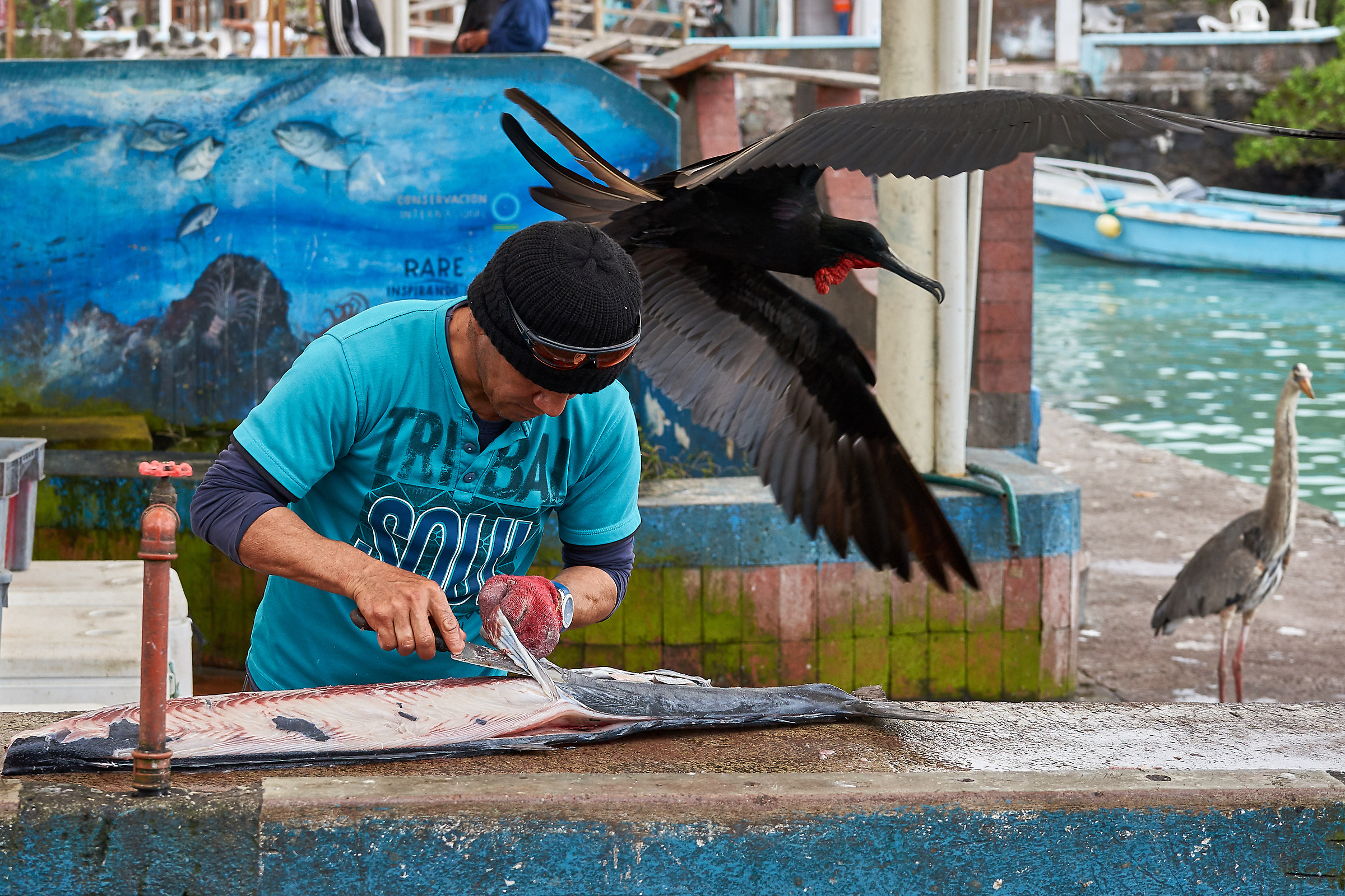 Rischi professionali