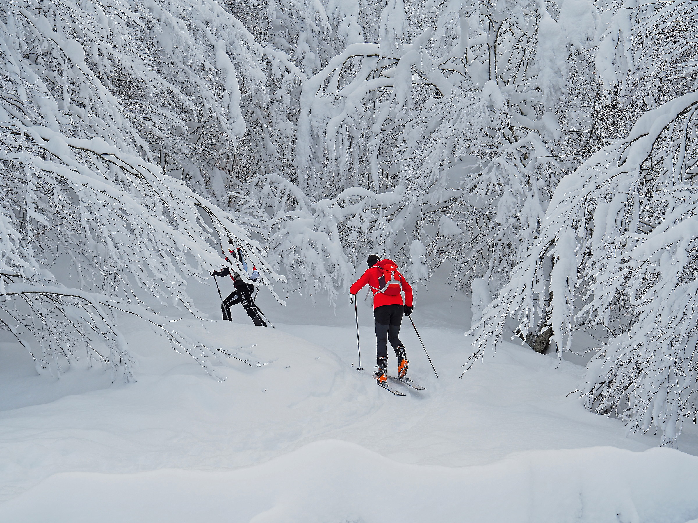 Finalmente tanta neve