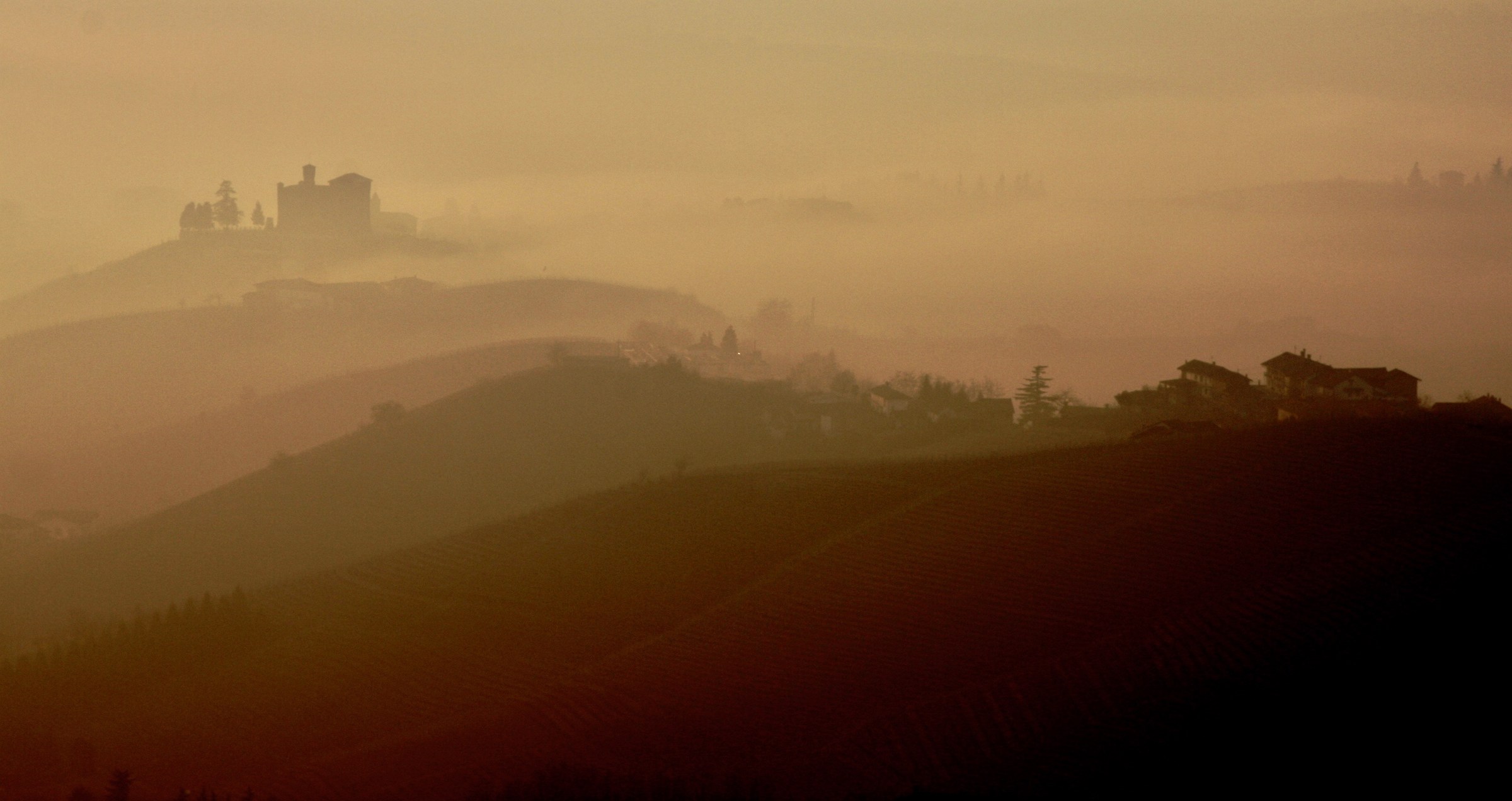 Grinzane Cavour, controluce nella nebbia