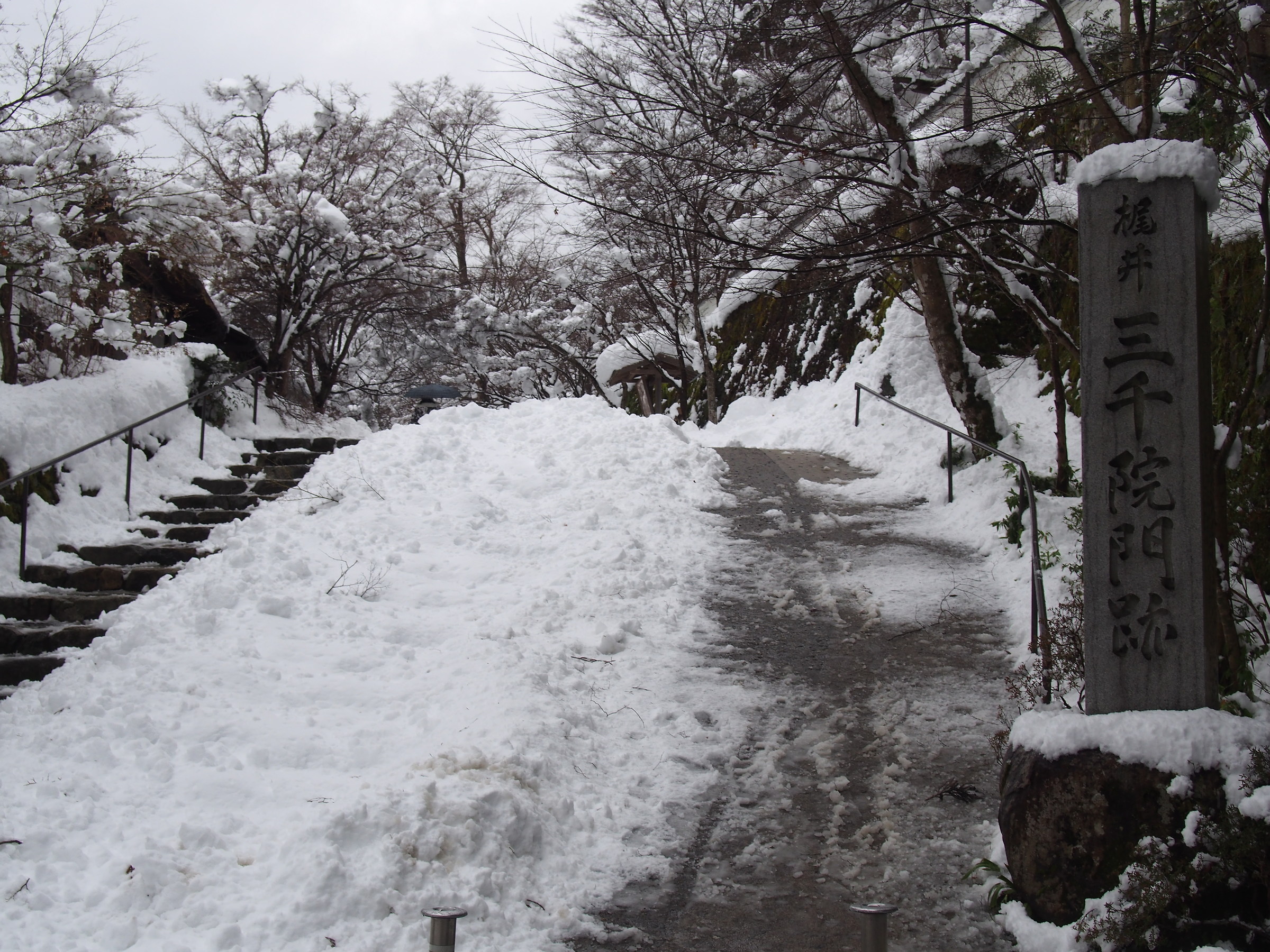 Sanzenin_Yukigesiki1