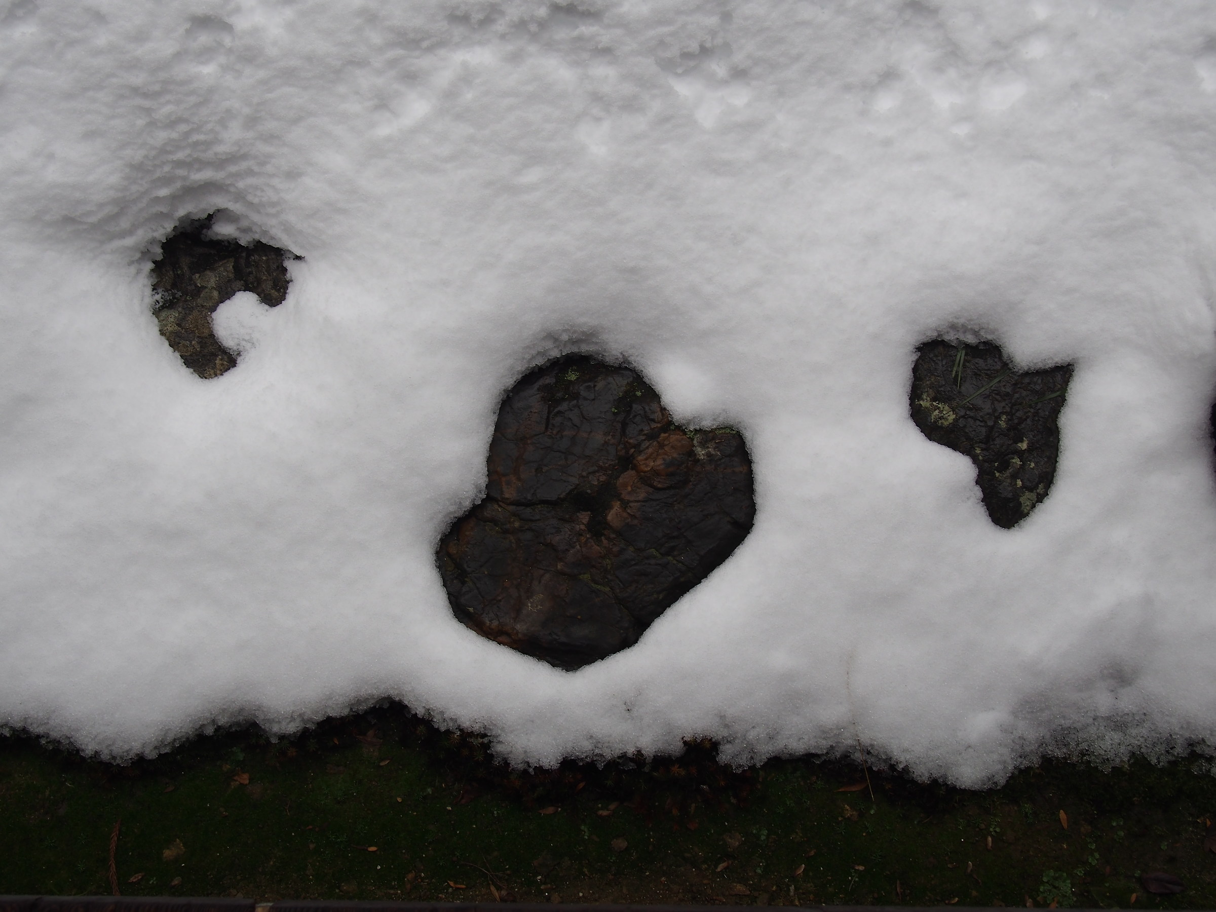 Sanzenin_Yukigesiki3