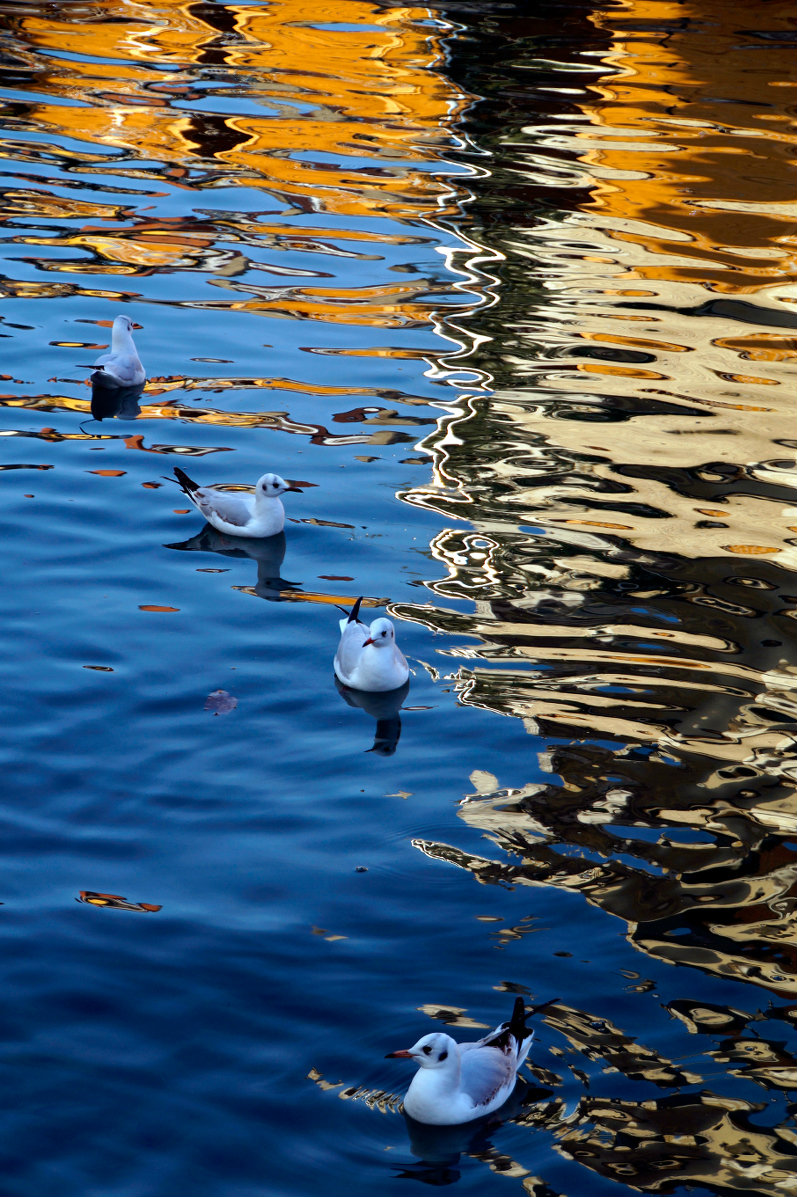 Reflections and not ... at sunset