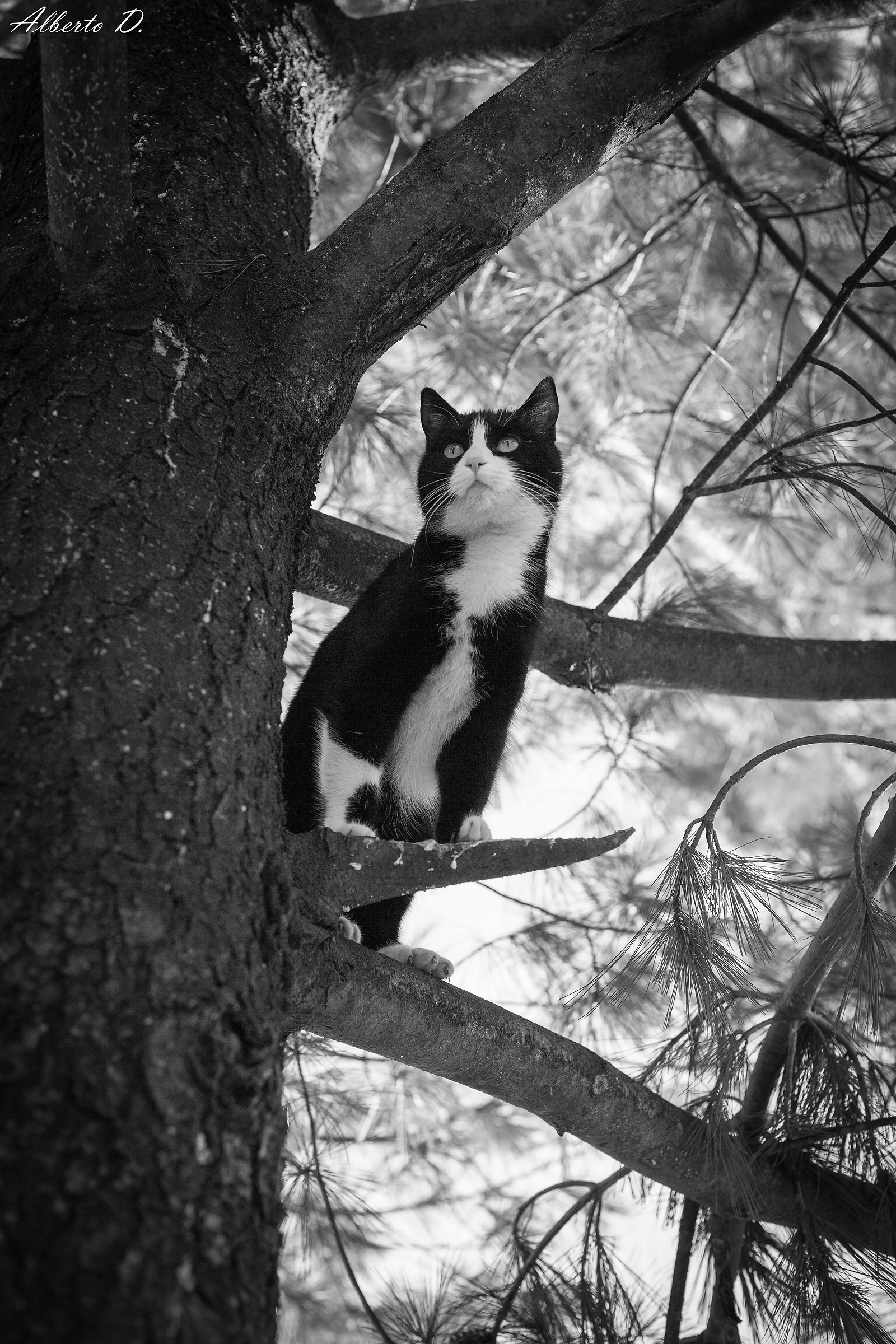 ti tengo d'occhio...