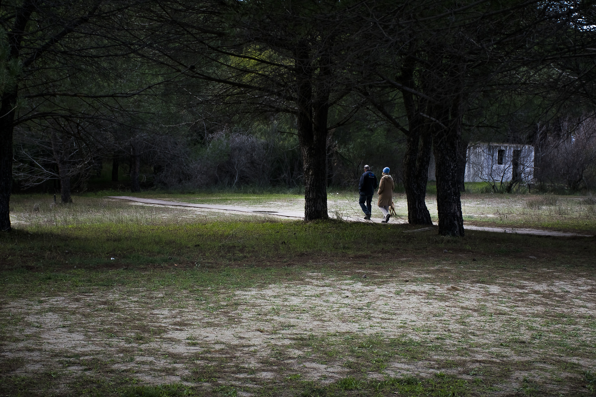 Together ....... with the same step