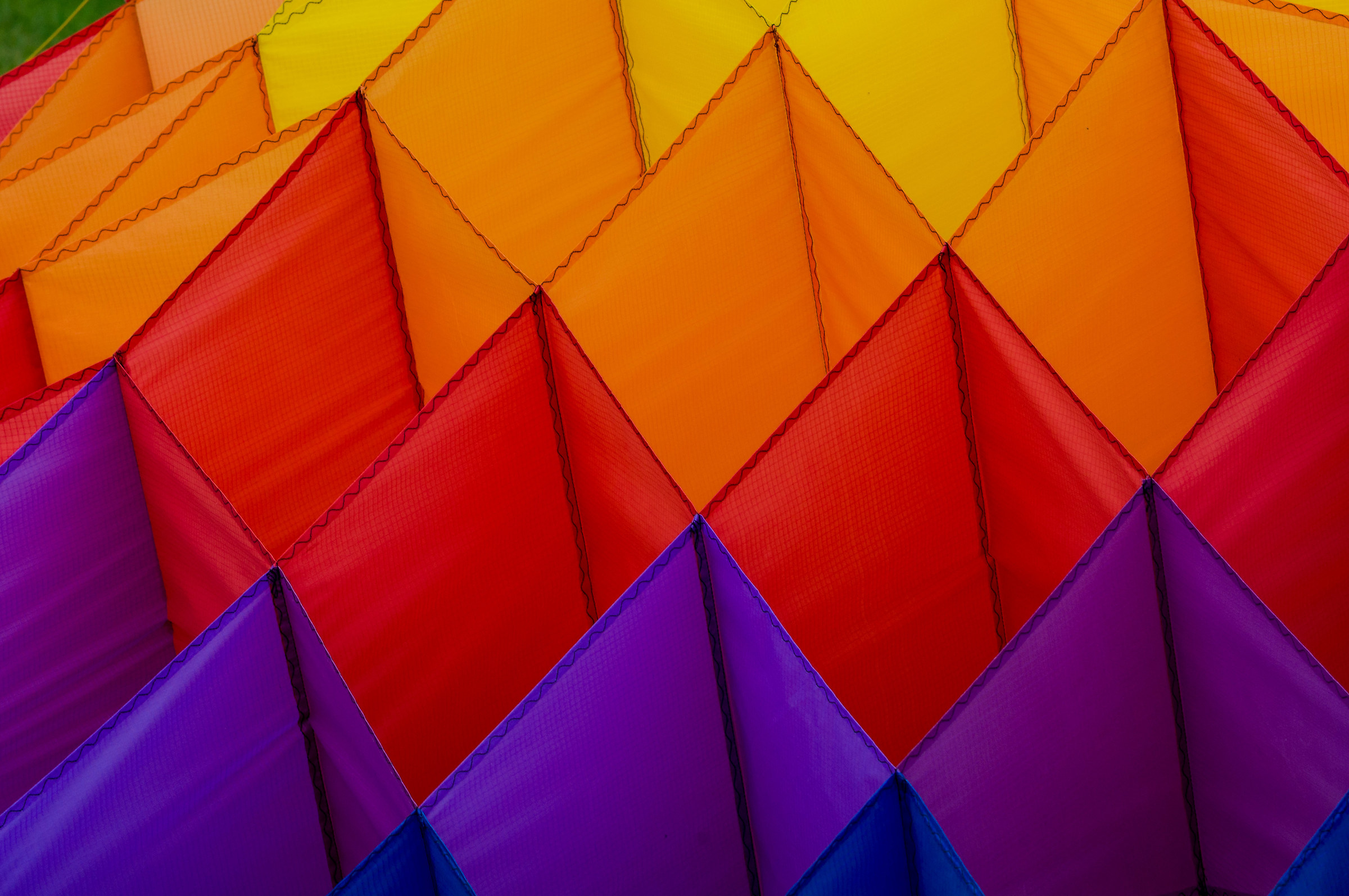 aquilone(particolare)