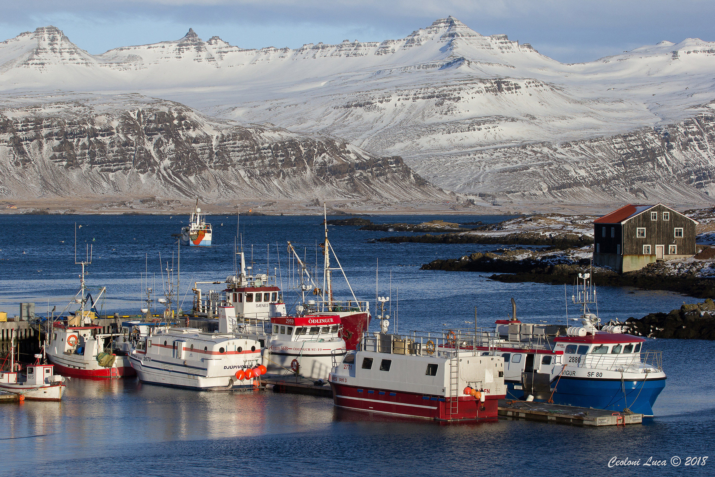 Fishing morning in Djúpivogur