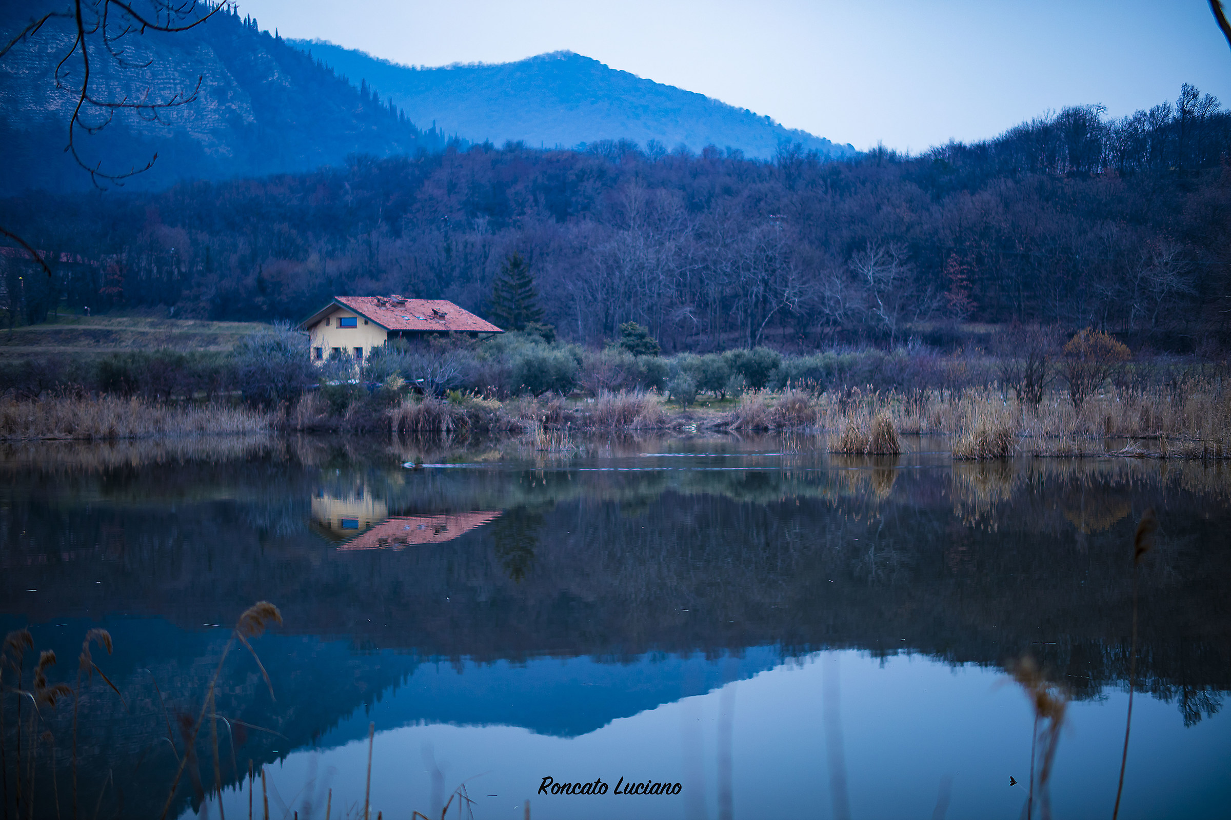 riflessi in torbiera