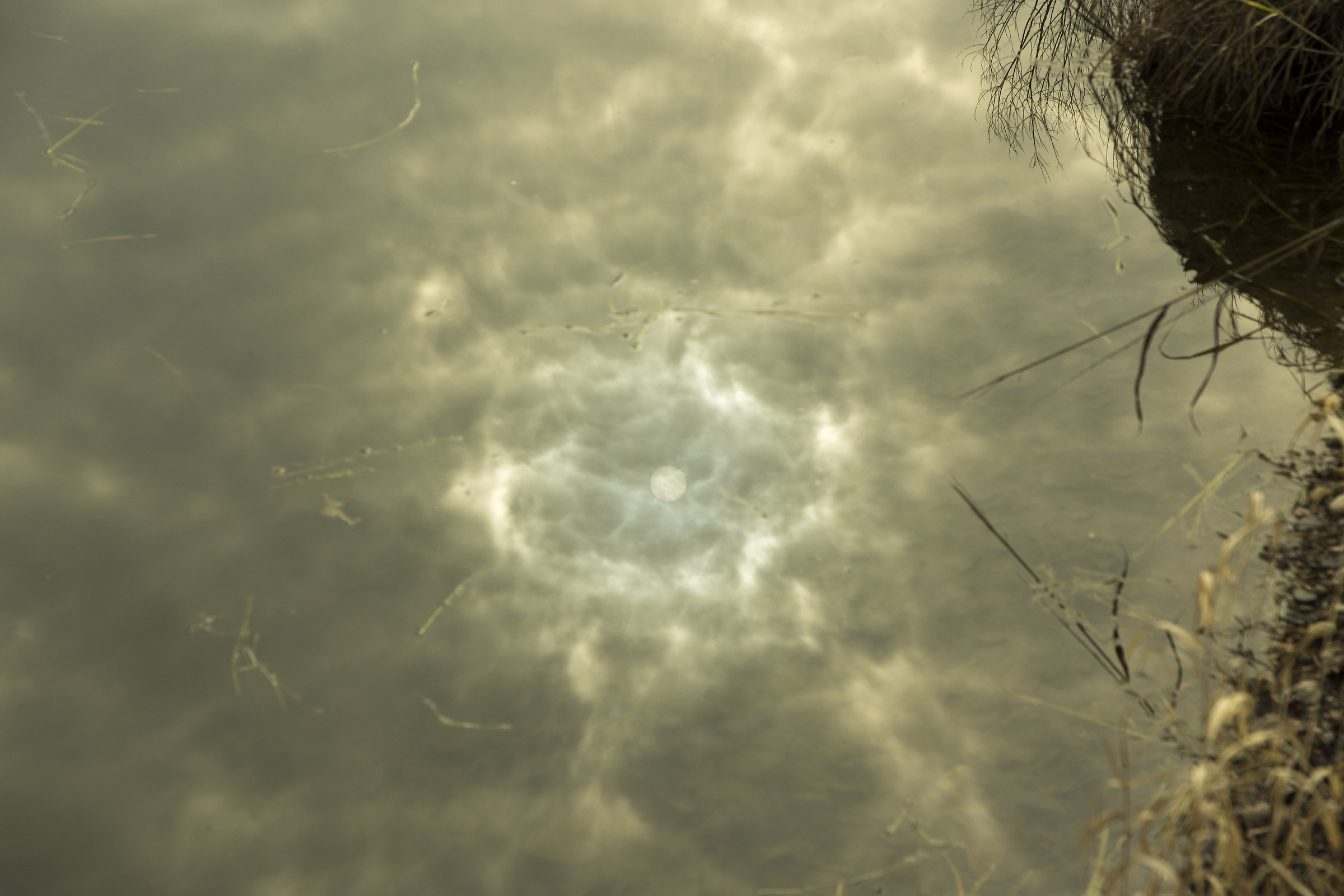 winter sun in the mirror