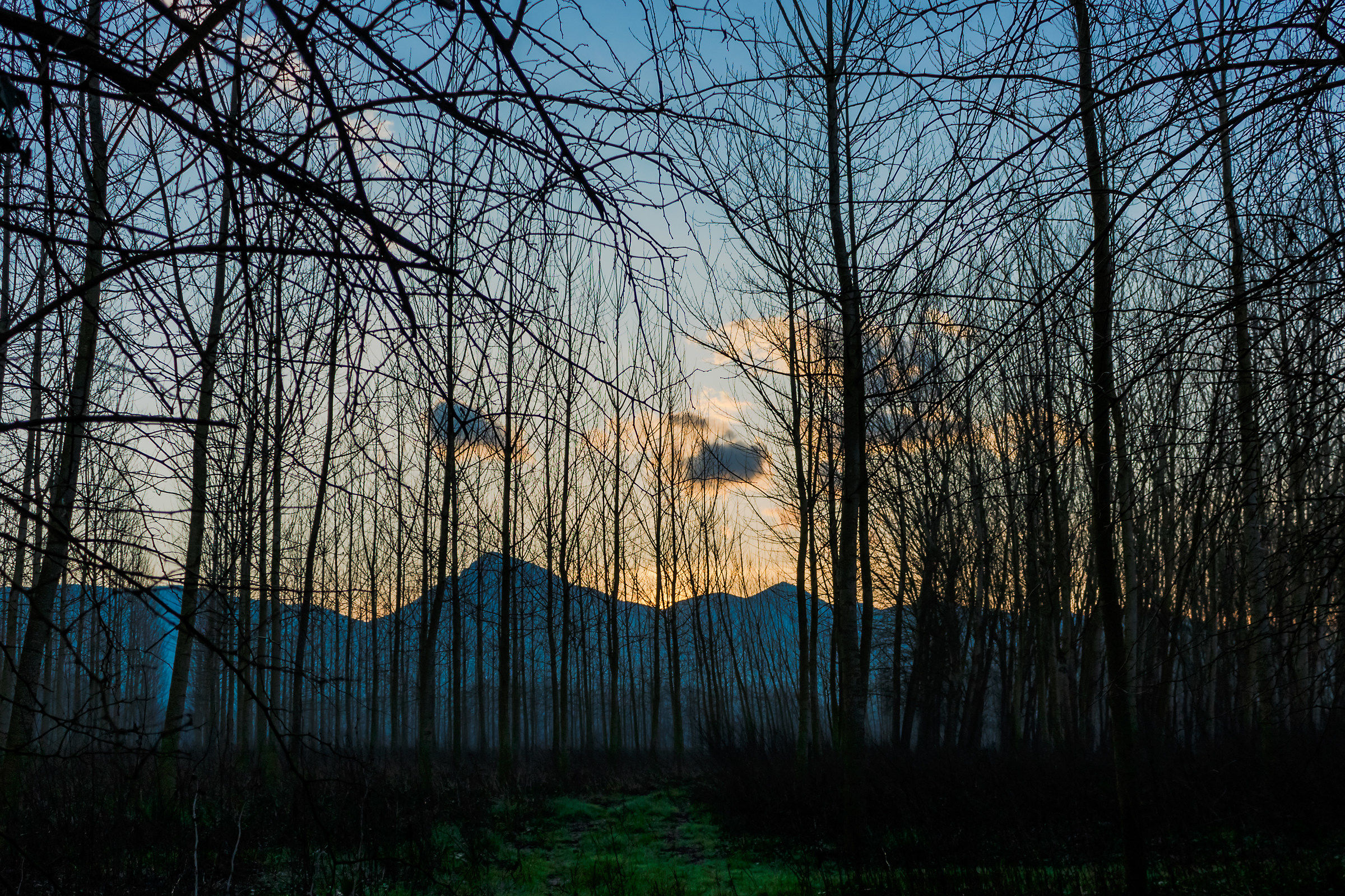 Sunrise in Sant'Ambrogio (cs)