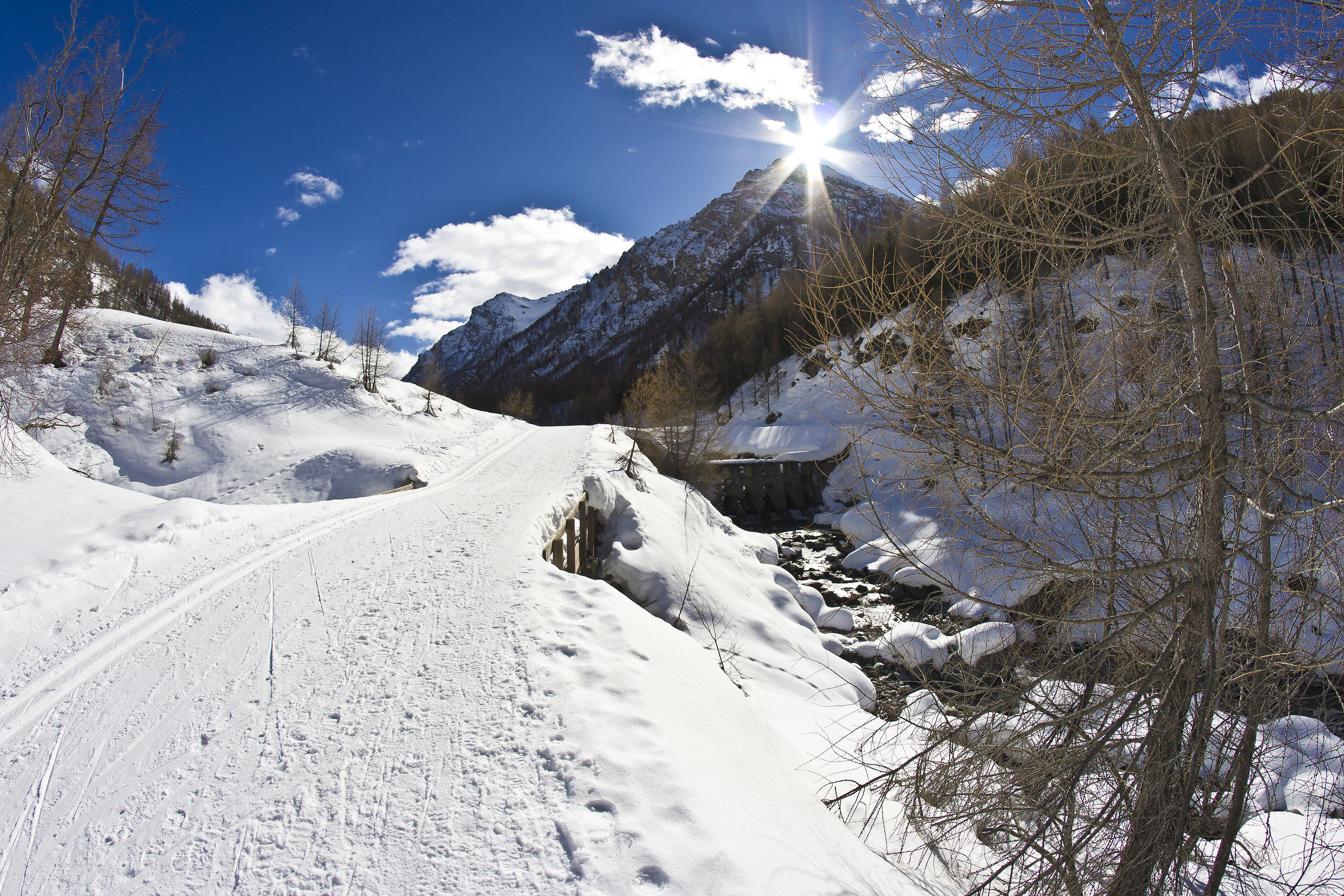 Parco della Val Troncea..... sci e ciaspole