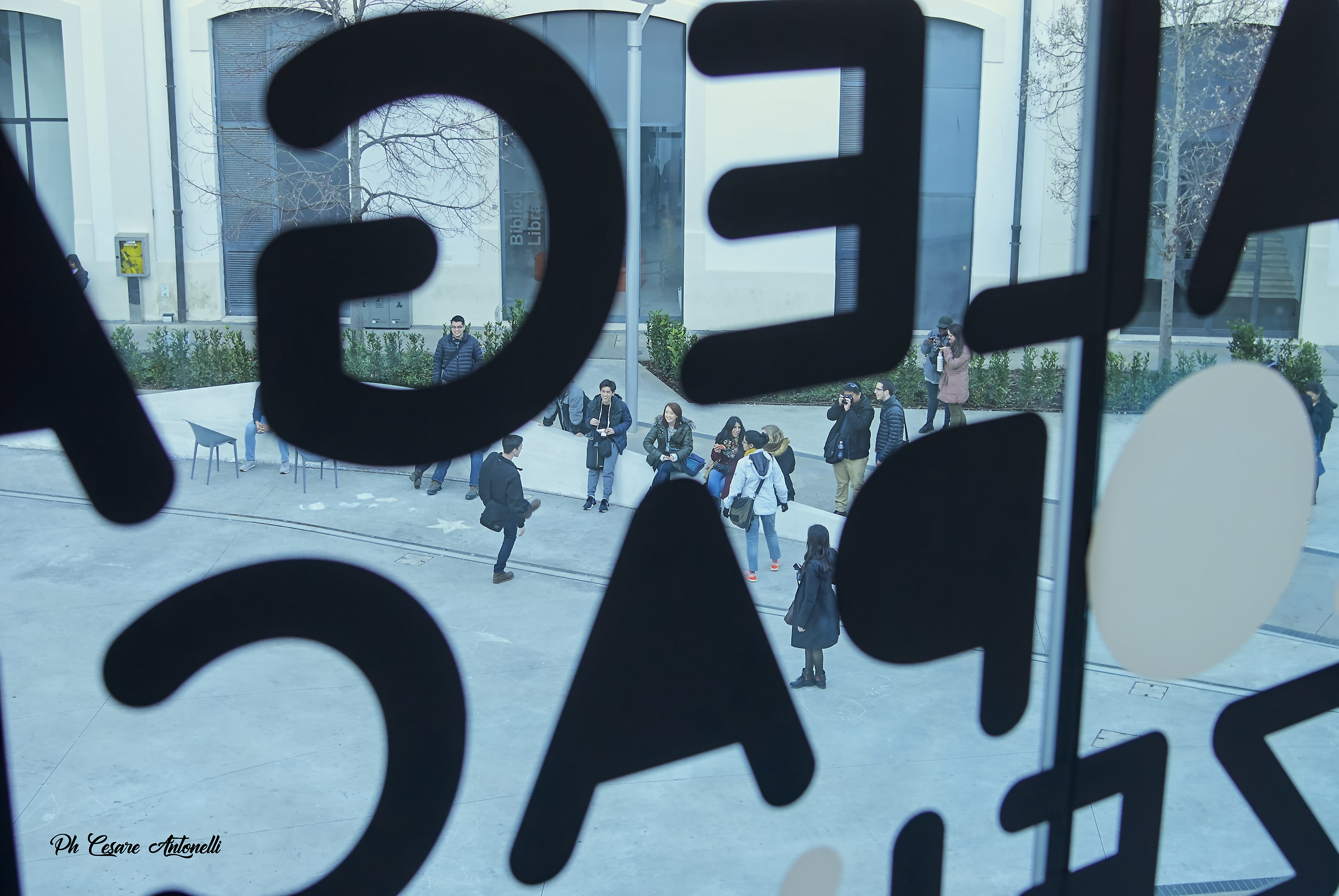 gli amici , la piazza , le parole .....