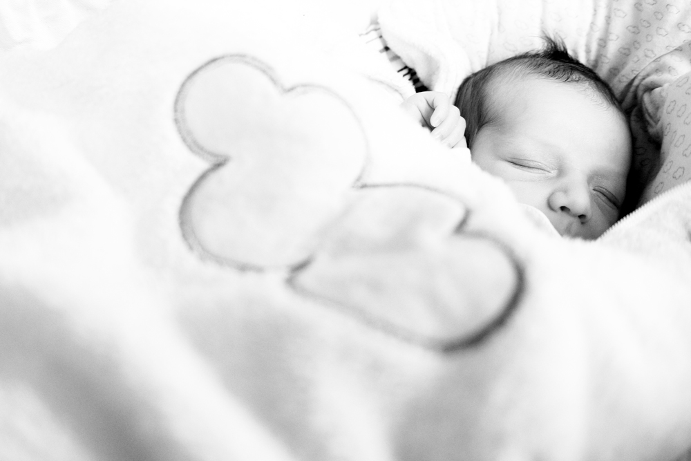 Yuri il nuovo coinquilino