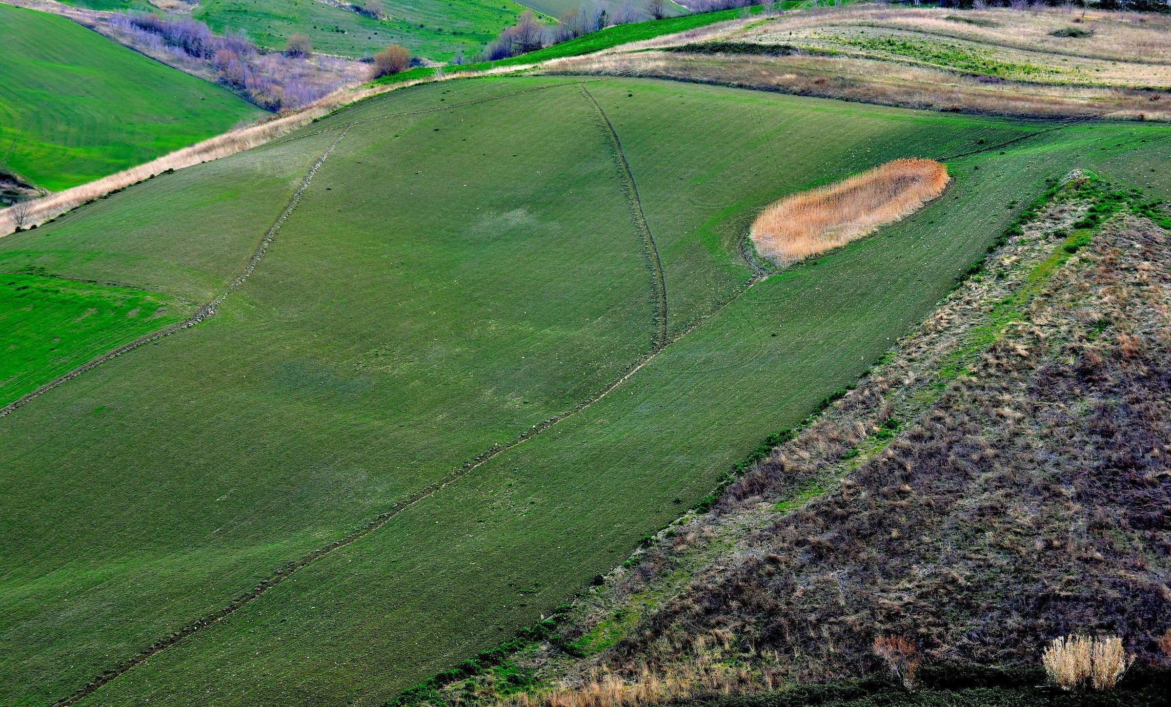 L'Ombelico del Campo