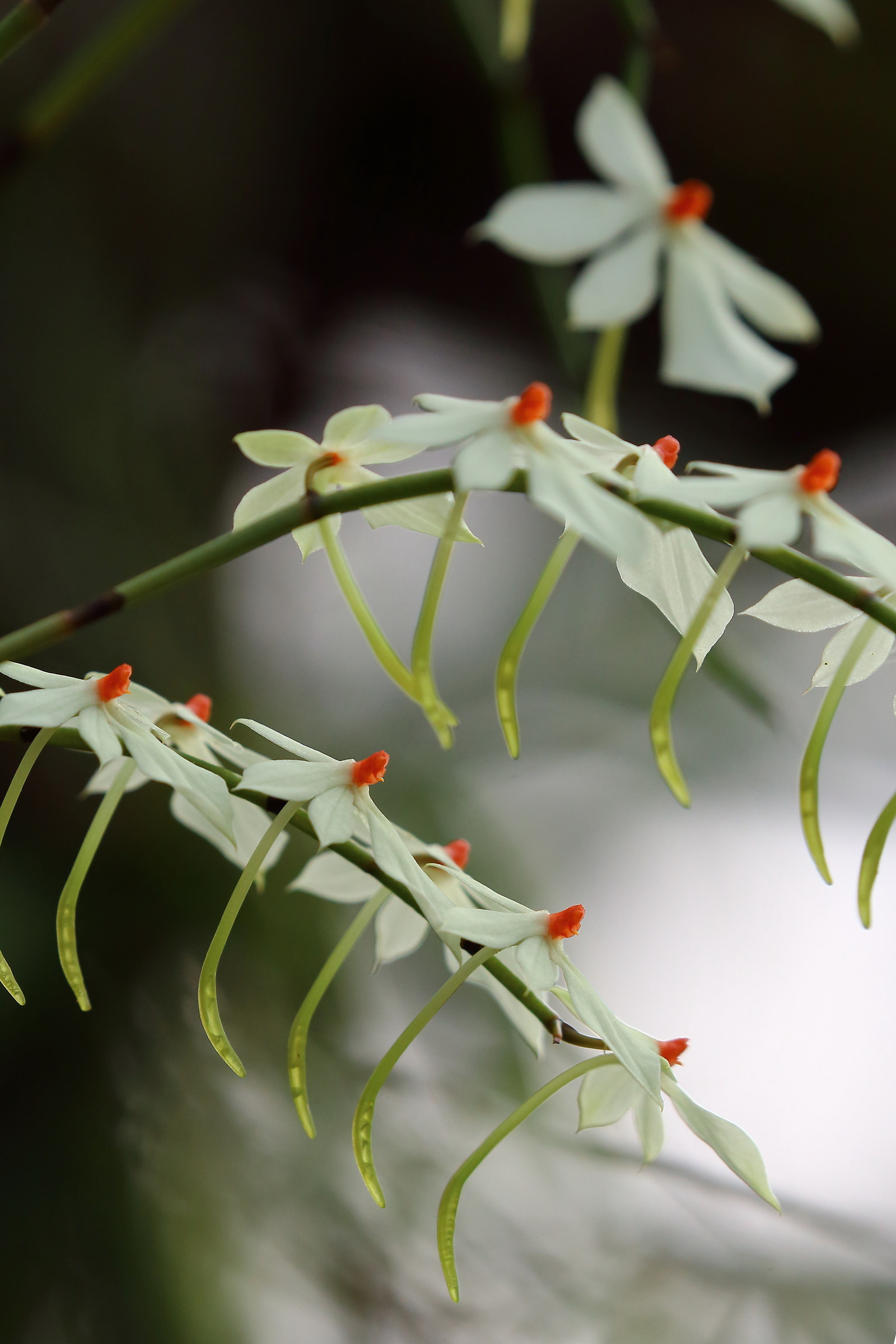 Girls .. jumps down. .let's Dance....