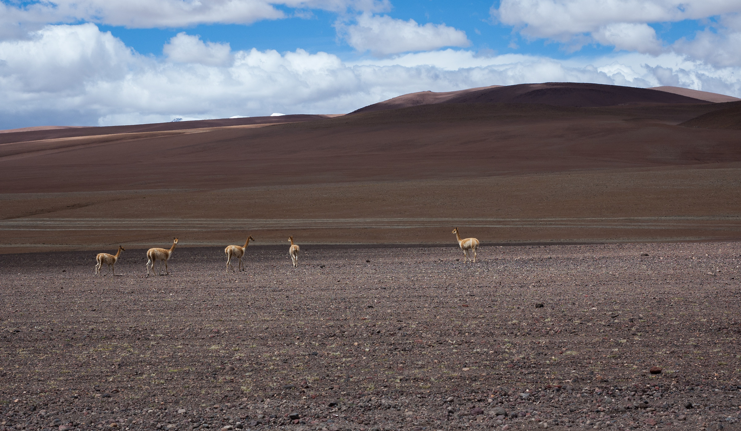 Salar de Uyuni