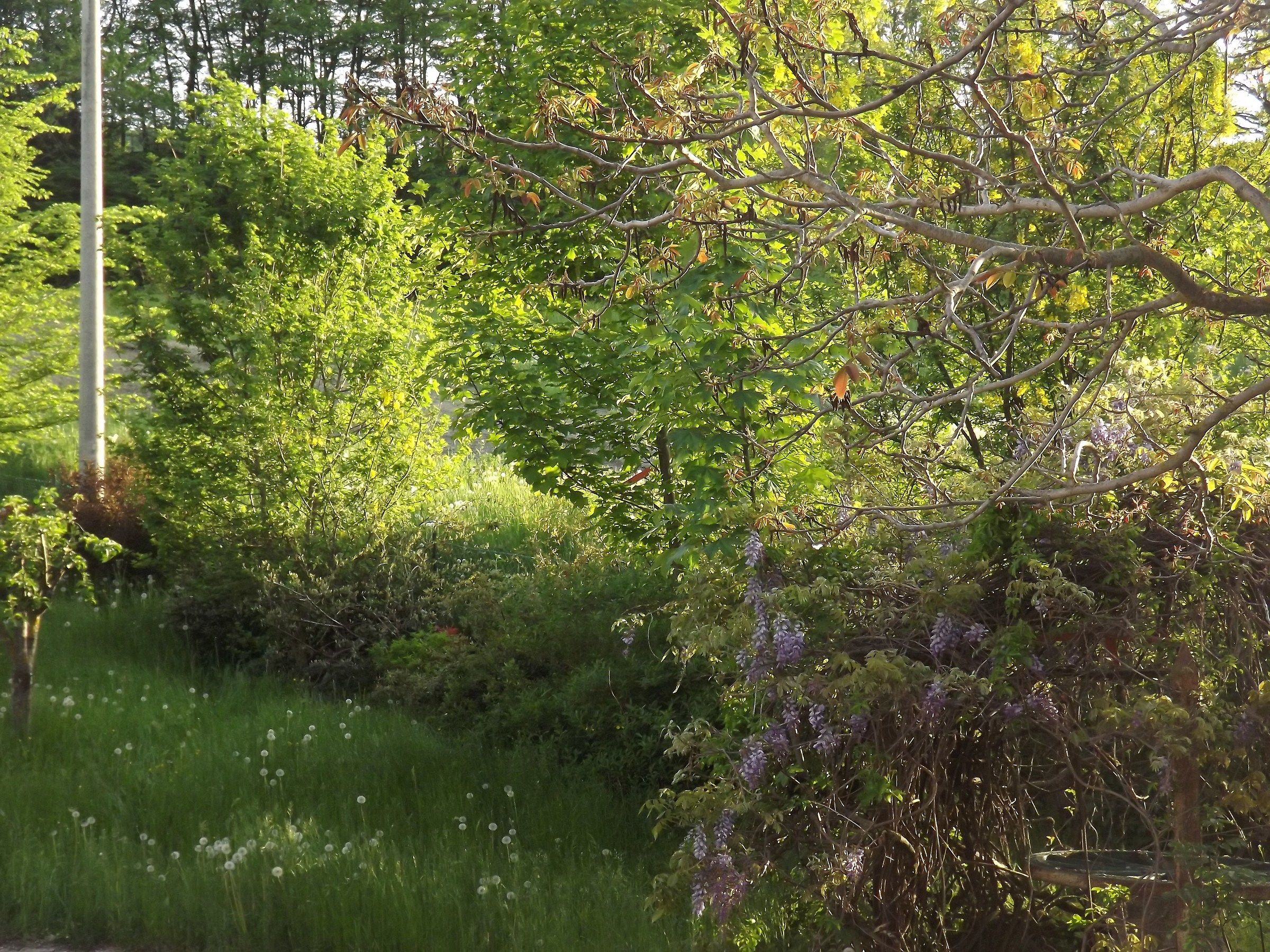 Valbucciana - Villa Minozzo 12/5/2012