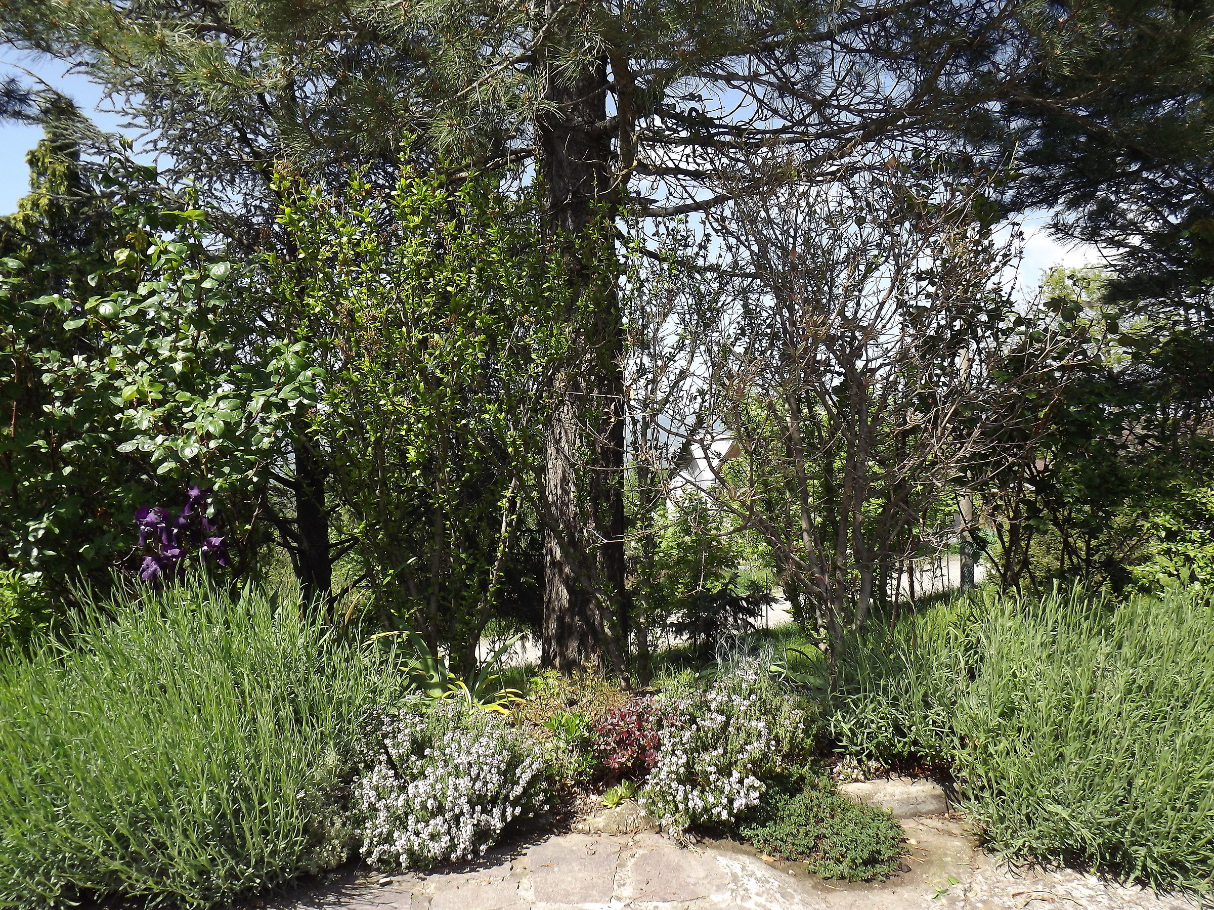 Valbucciana - Villa Minozzo (re) 14/5/2012