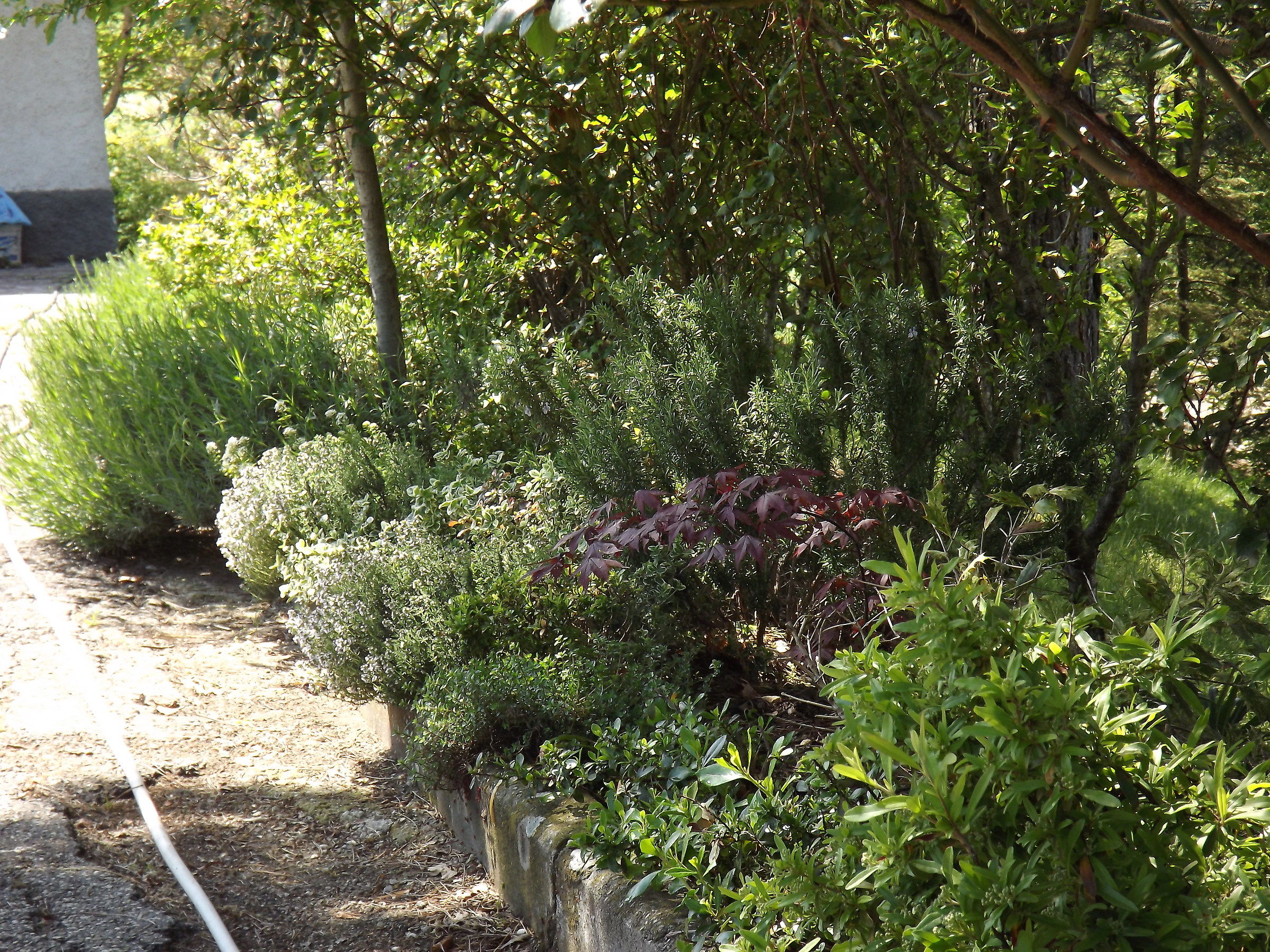 Valbucciana - Villa Minozzo (re) 14/5/2012