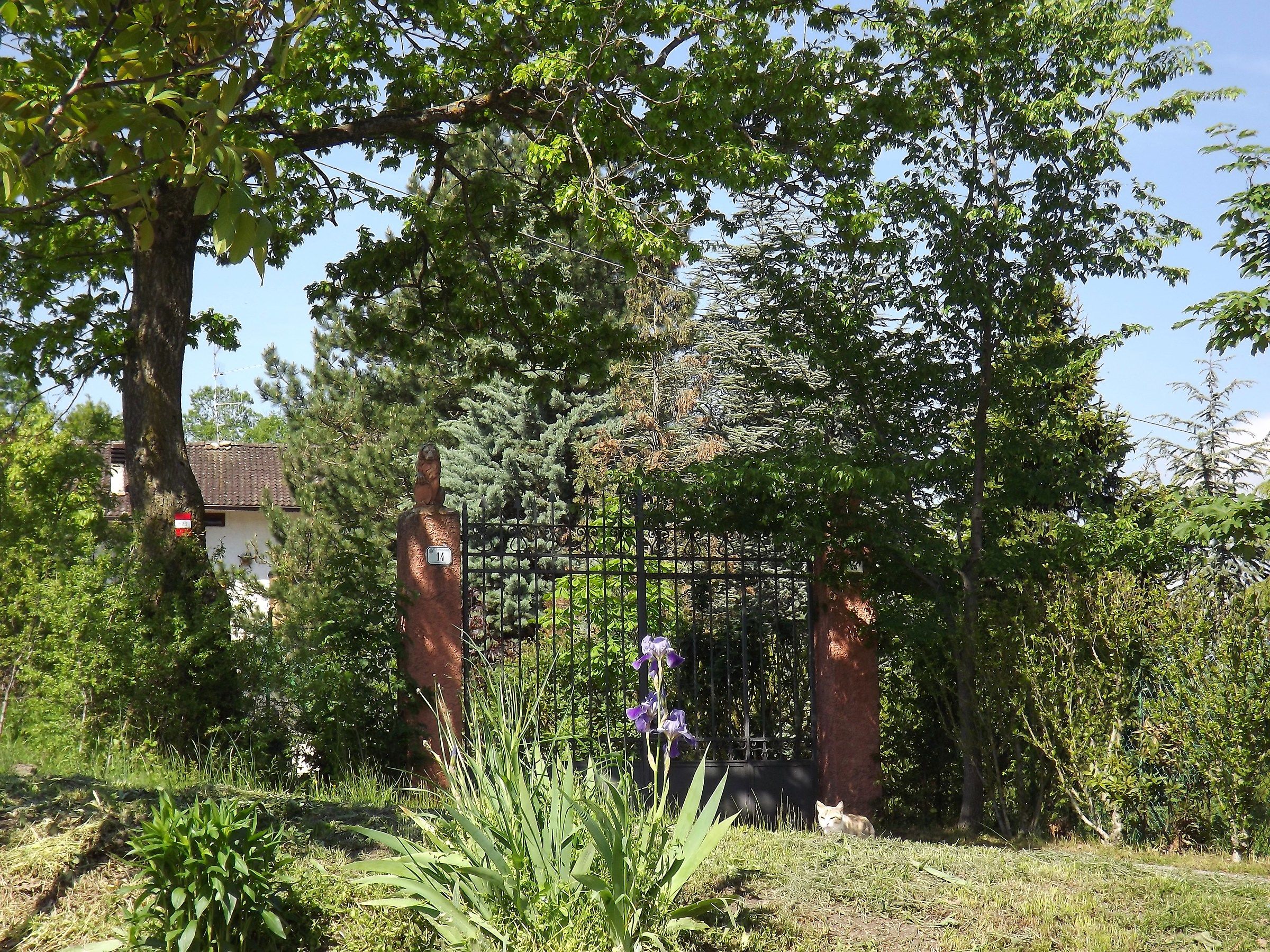 Valbucciana - Villa Minozzo  (re) 15/5/2012