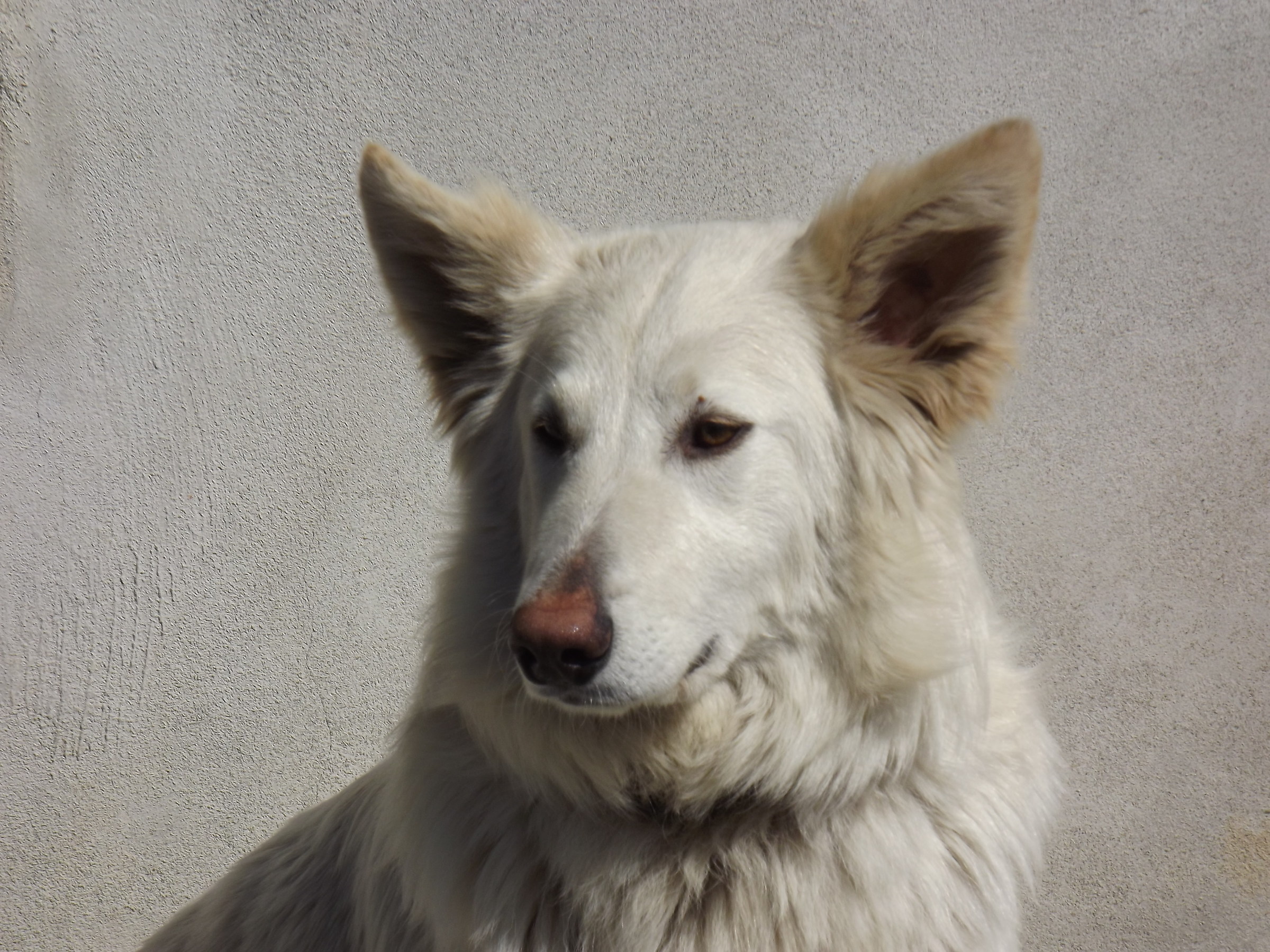 Valbucciana - Villa Minozzo (re) 15/5/2012