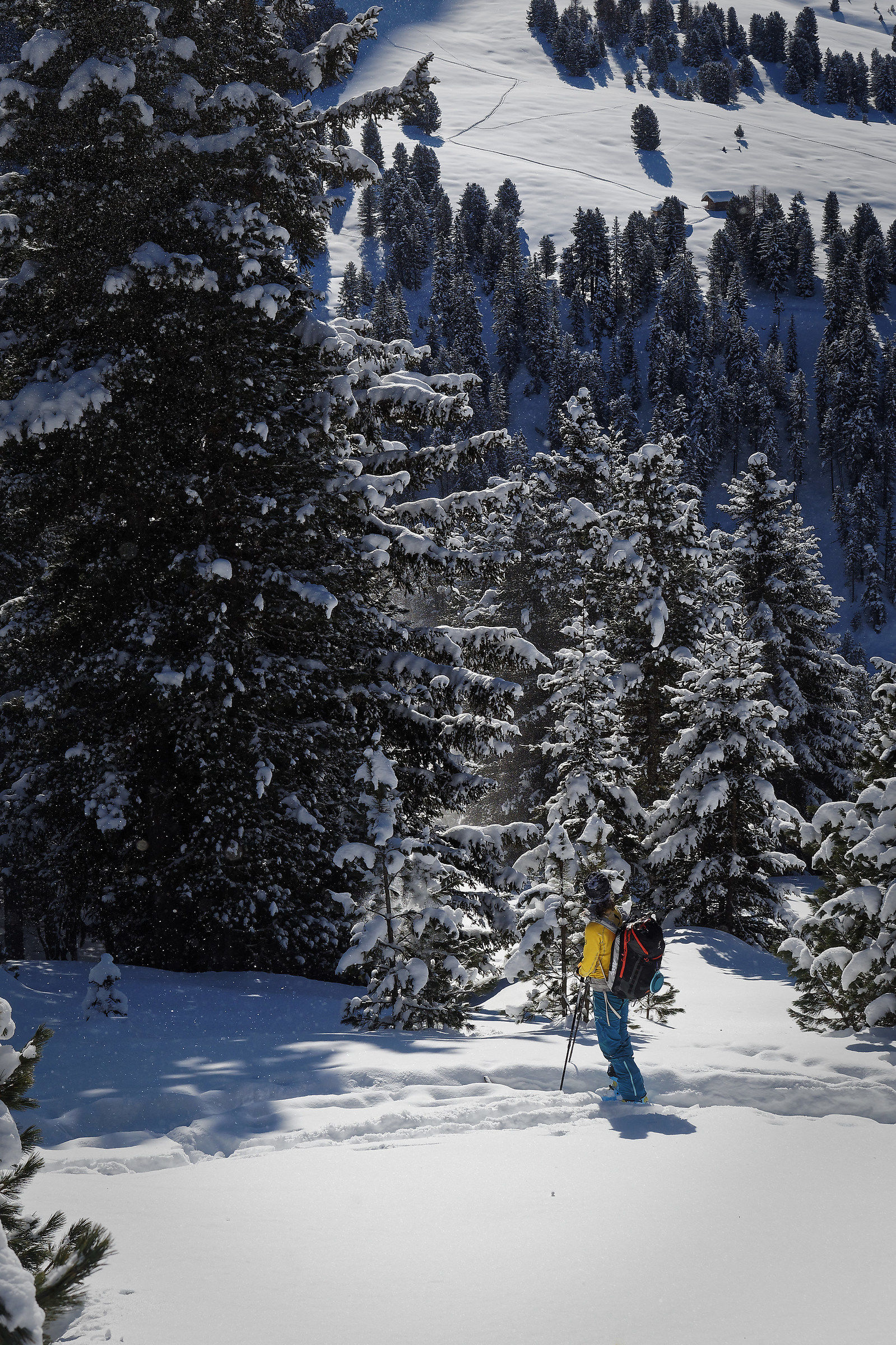 Enchanted by the panorama ..