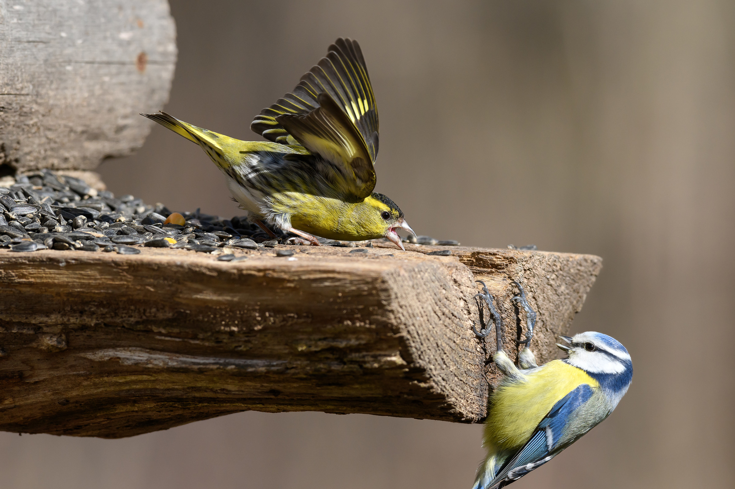 Do not even think about it !!!