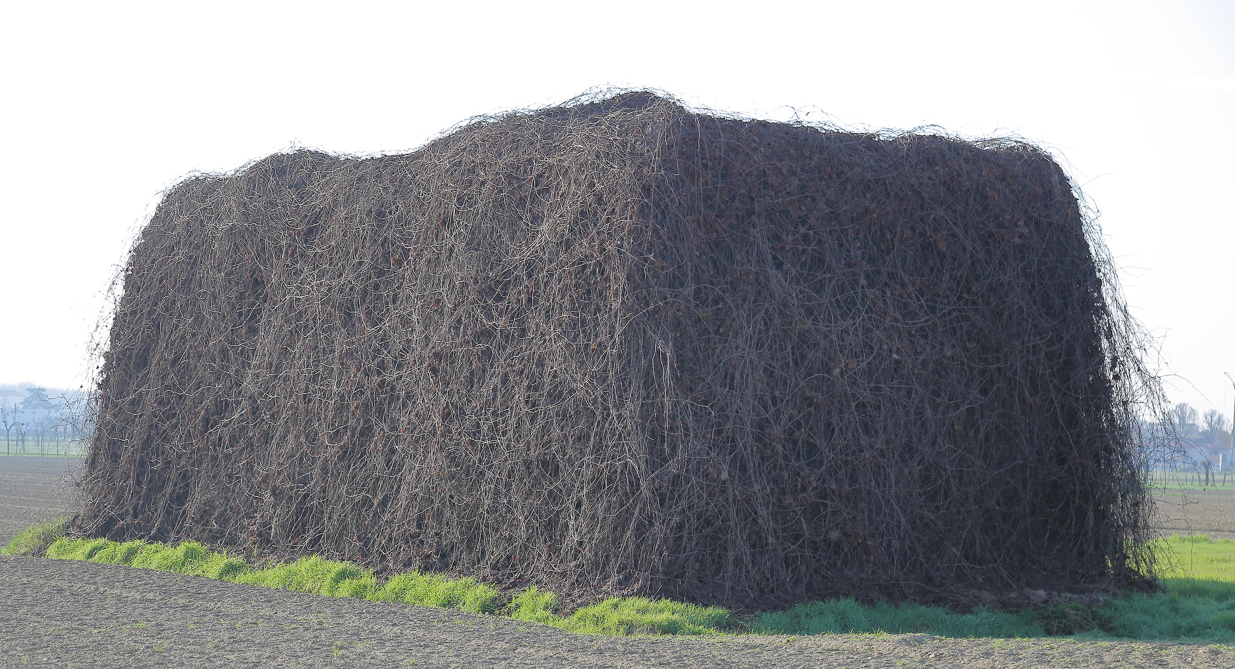 Edificio "misterioso"...