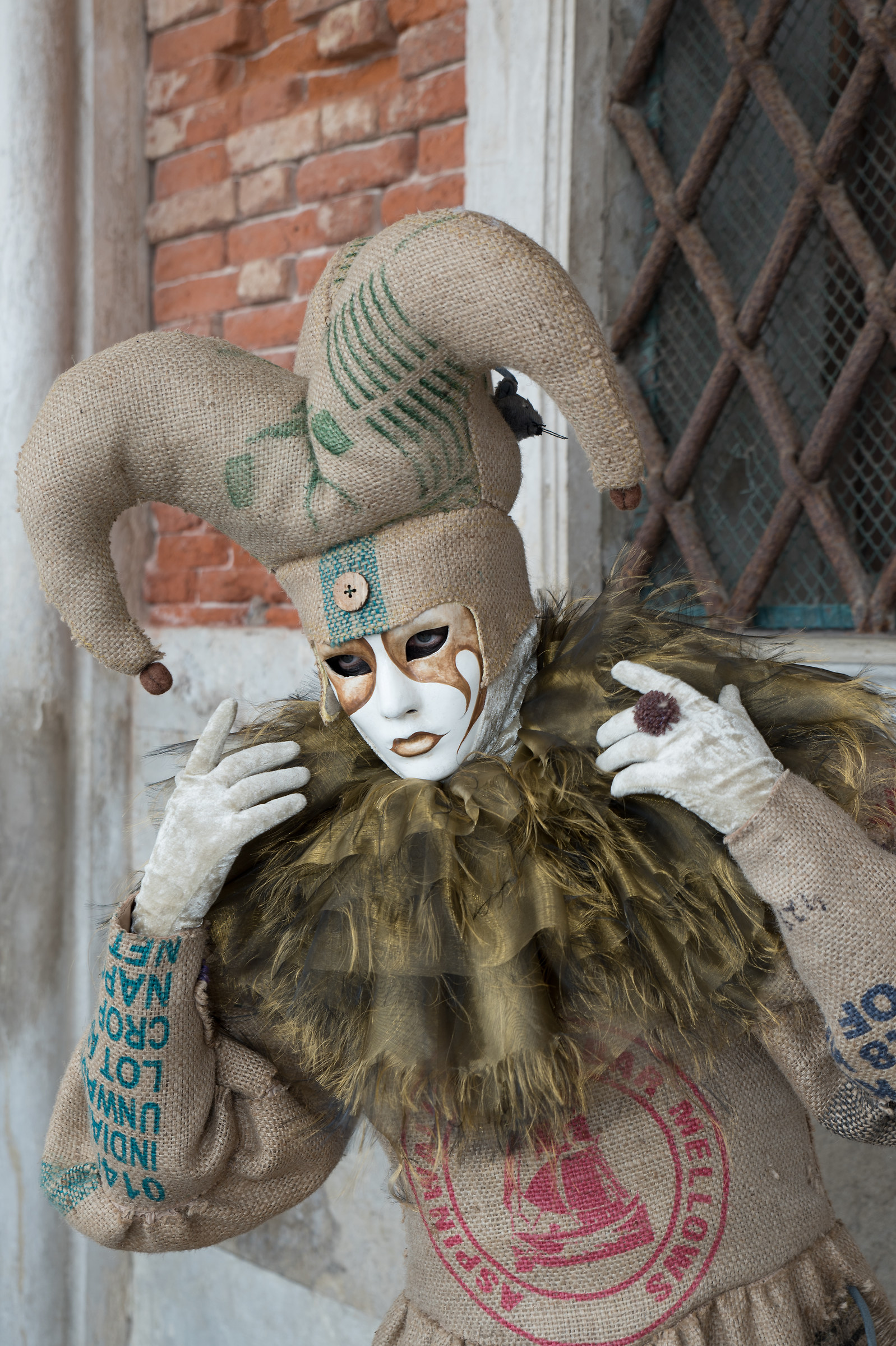 Il giullare di corte