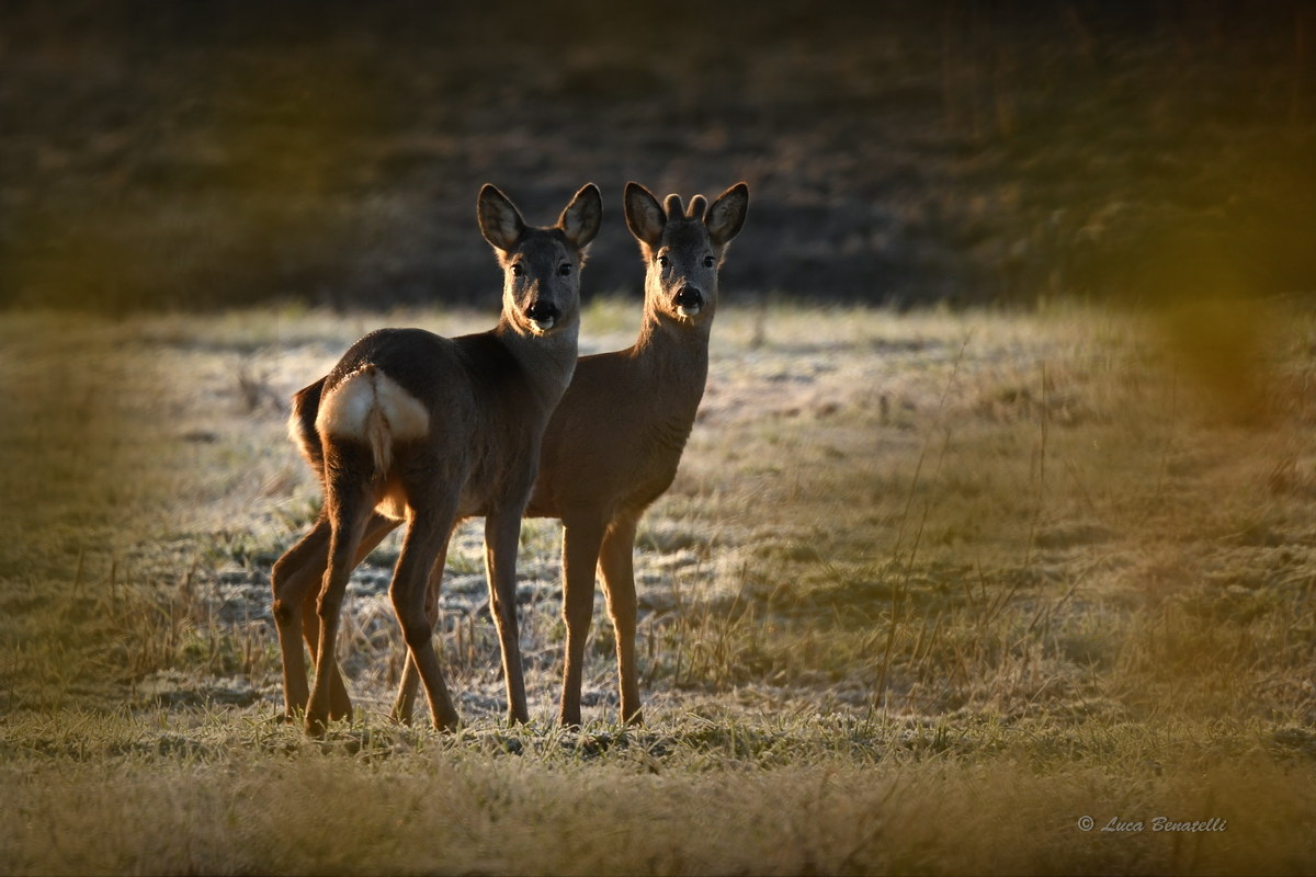 ...alle prime luci...