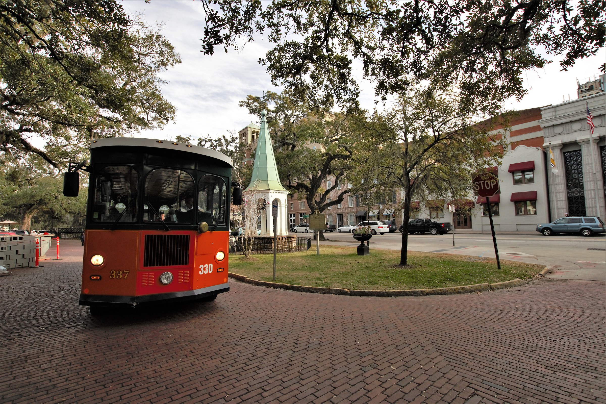 Savannah foreshortenings