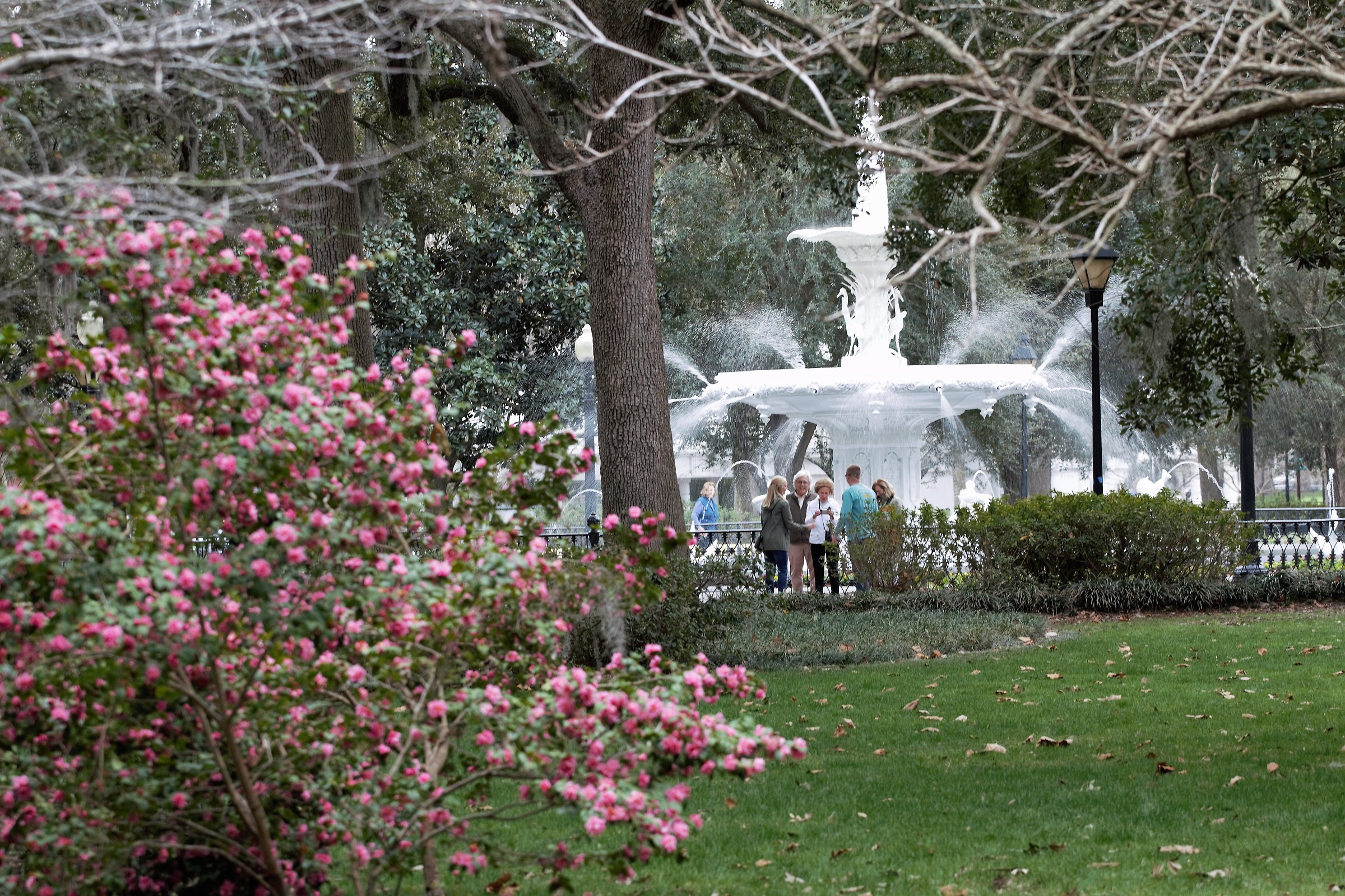 Savannah forsyth park