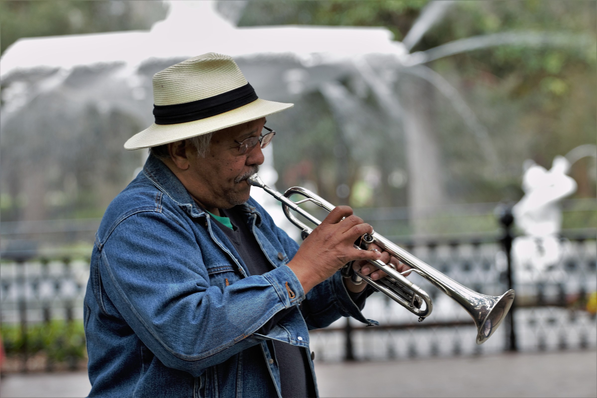 Savannah forsyth park