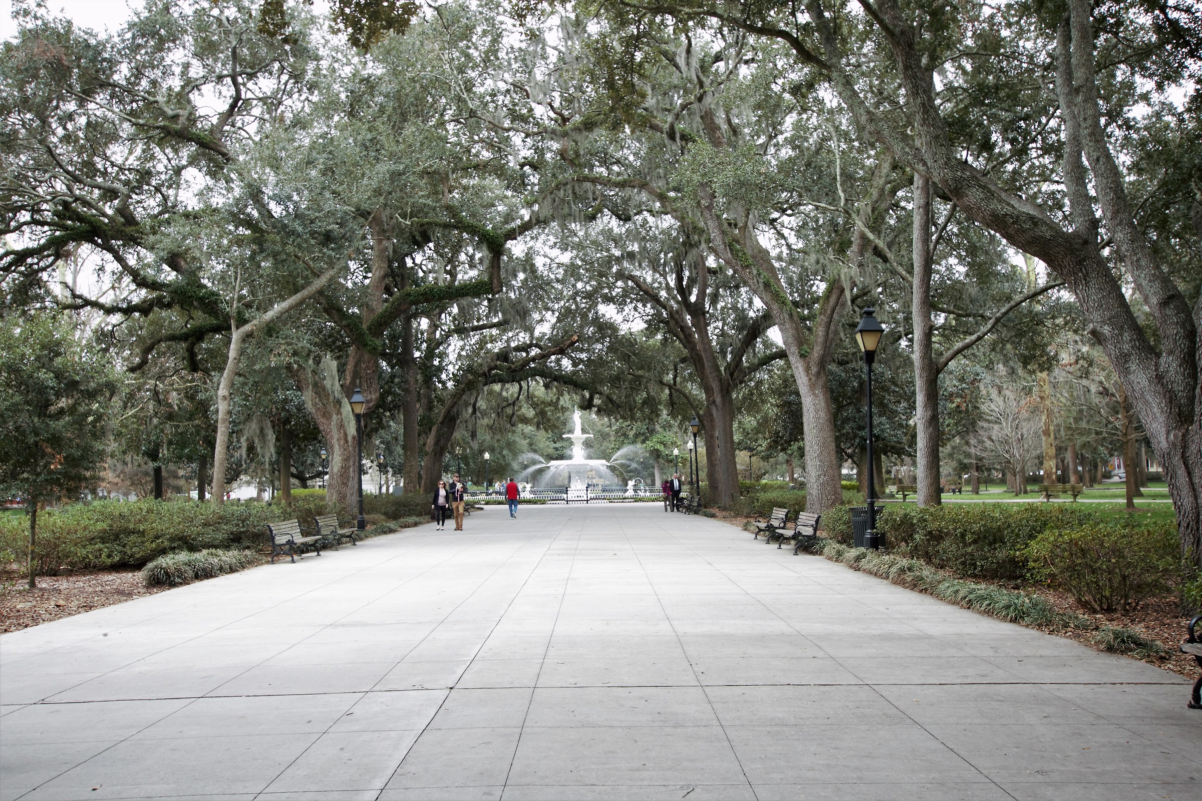 Savannah forsyth park
