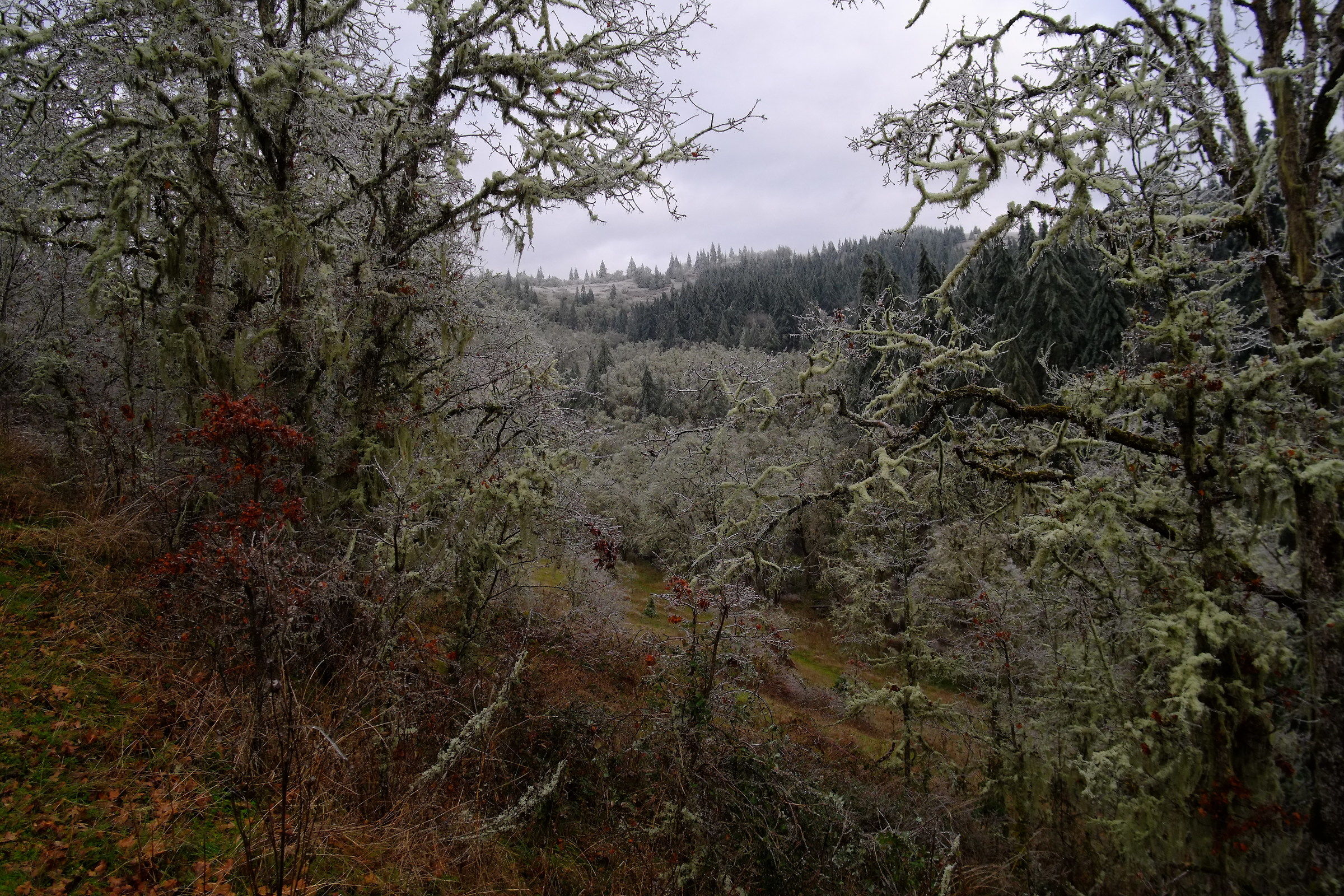 untitled, tokina 17mm