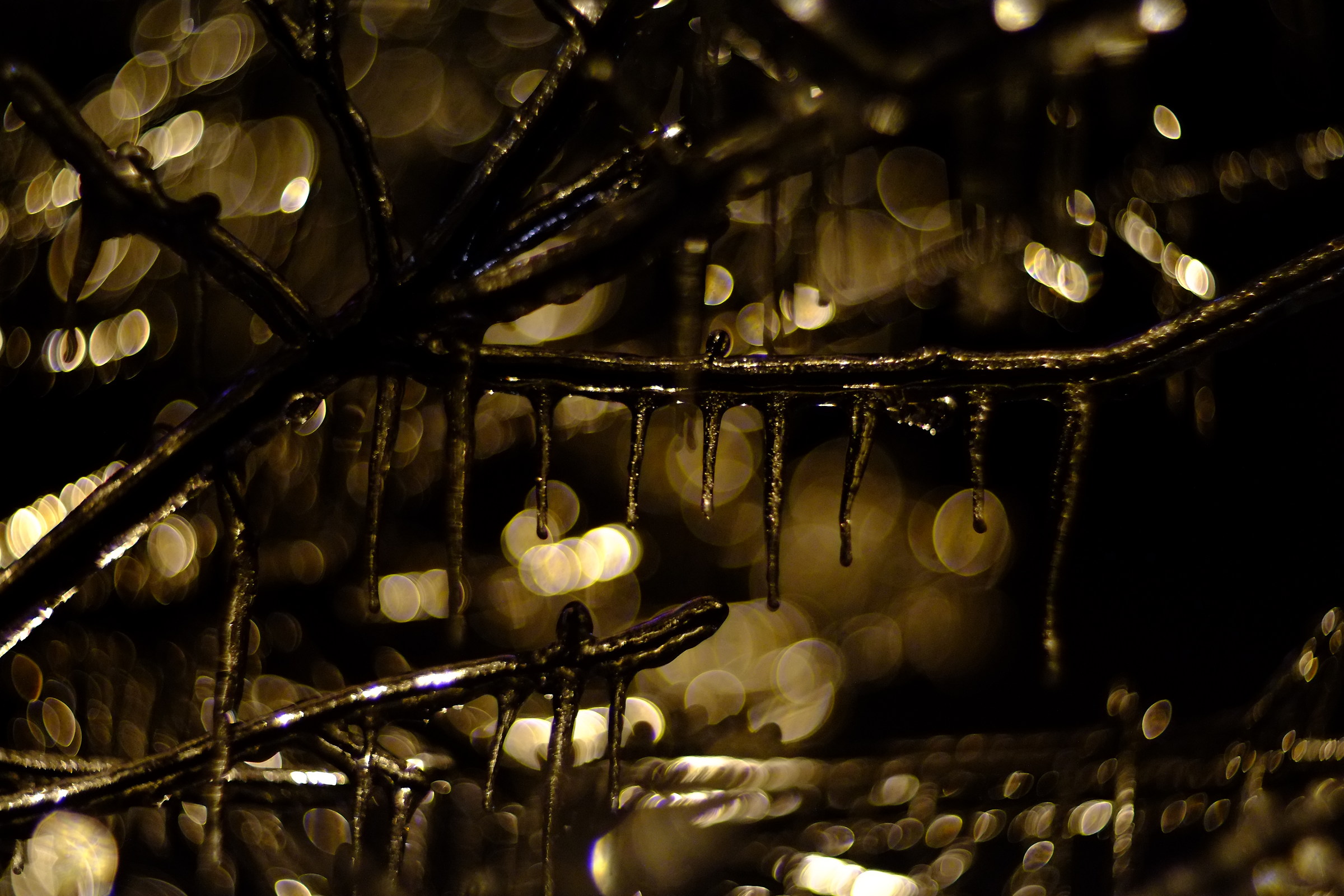 night ice, meyer 50mm