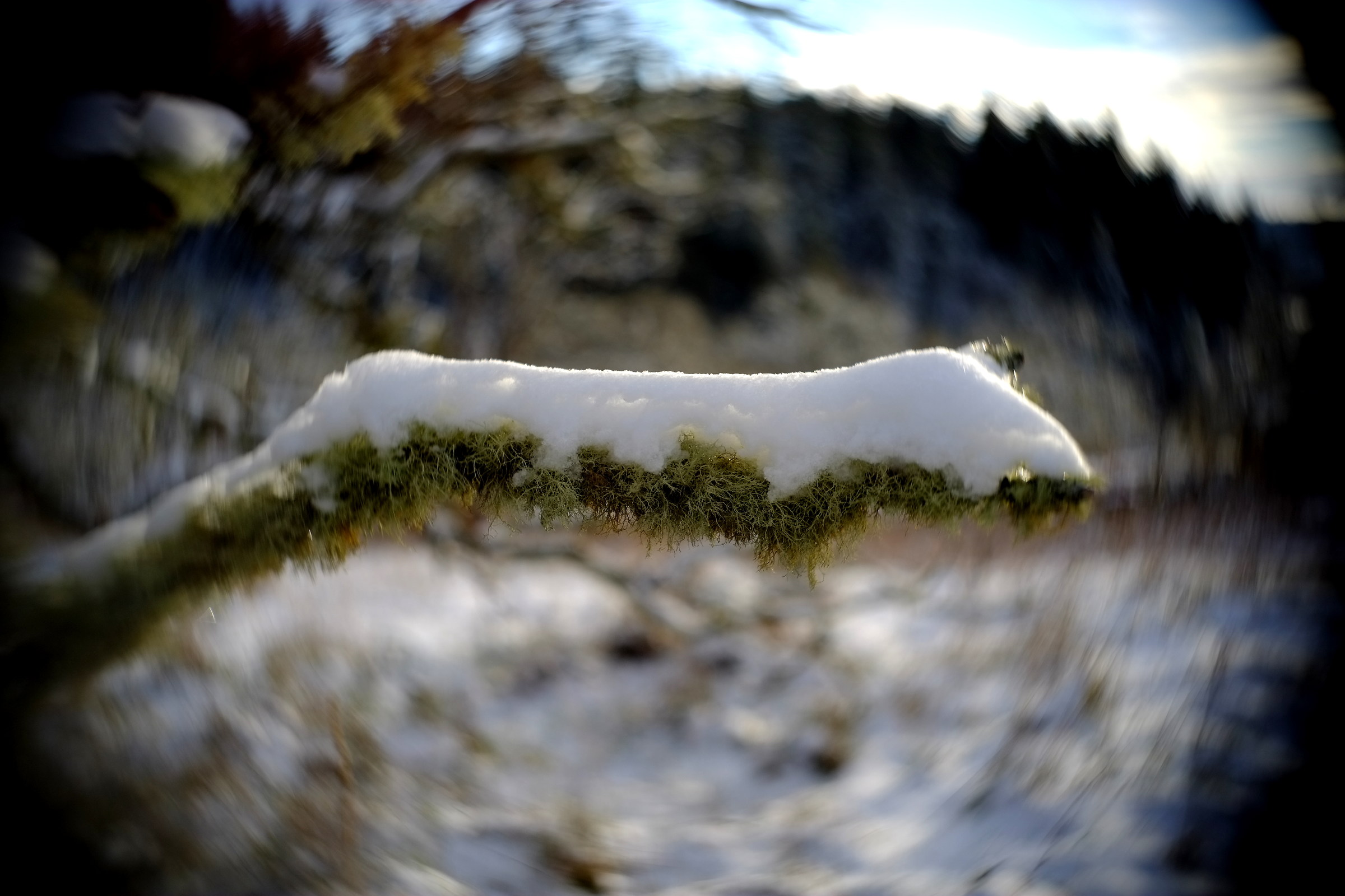 swirling snow, cooke kinic 25 1.5