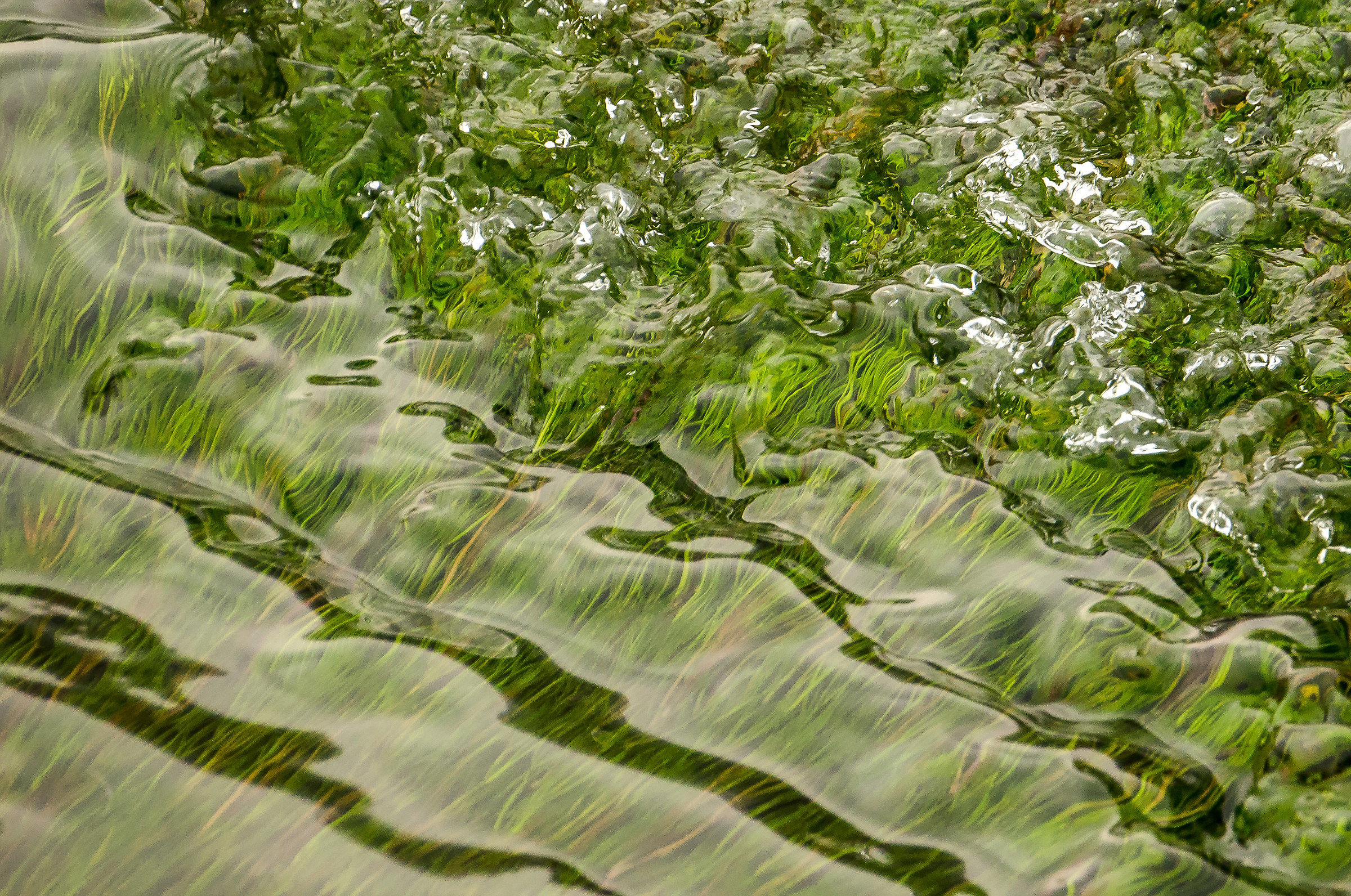 Reflux effect of the river