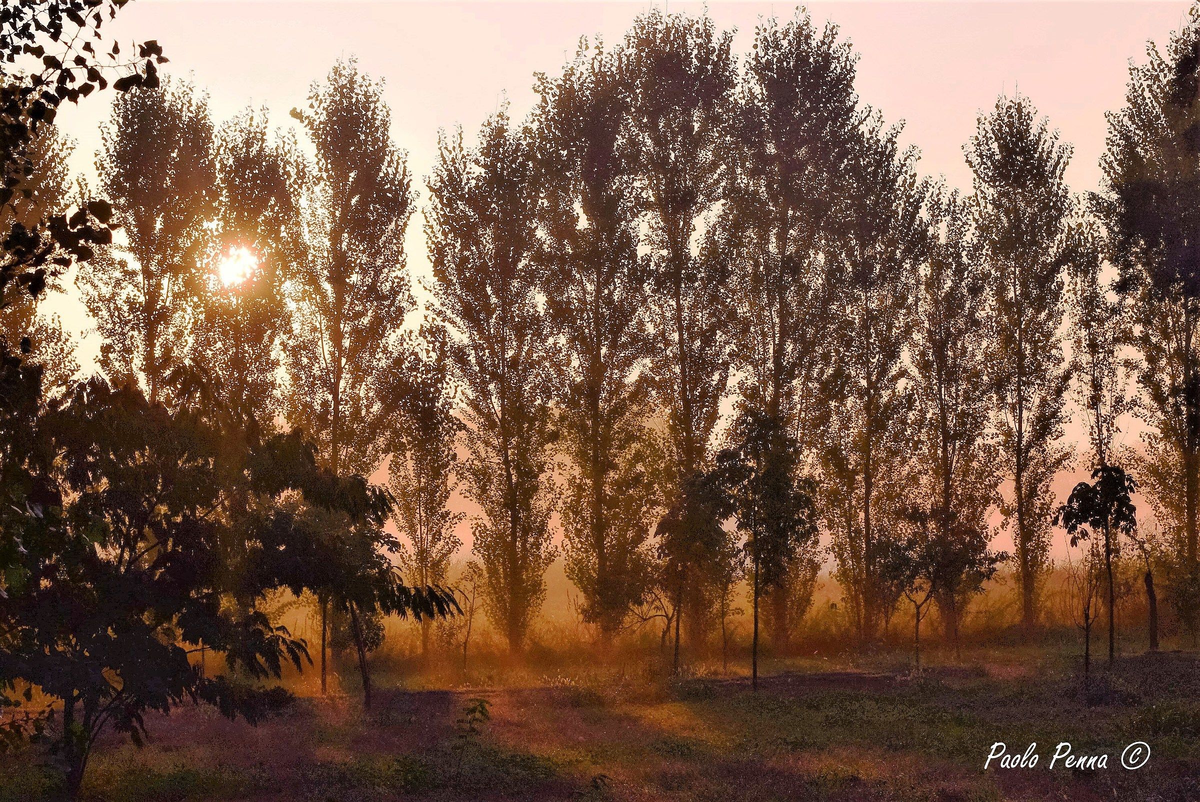 Le prime luci del giorno