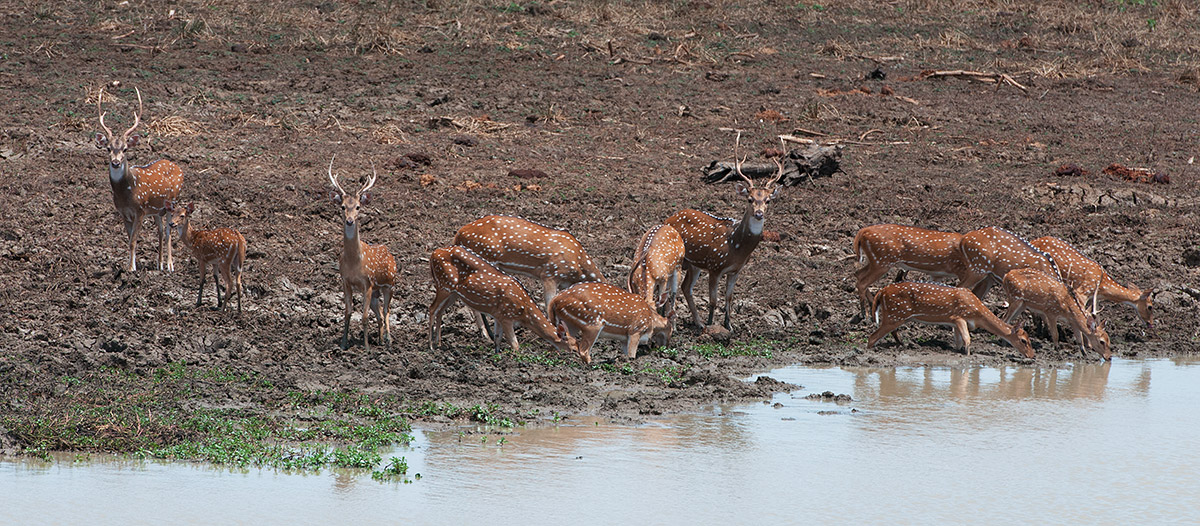 Unity is strength ...