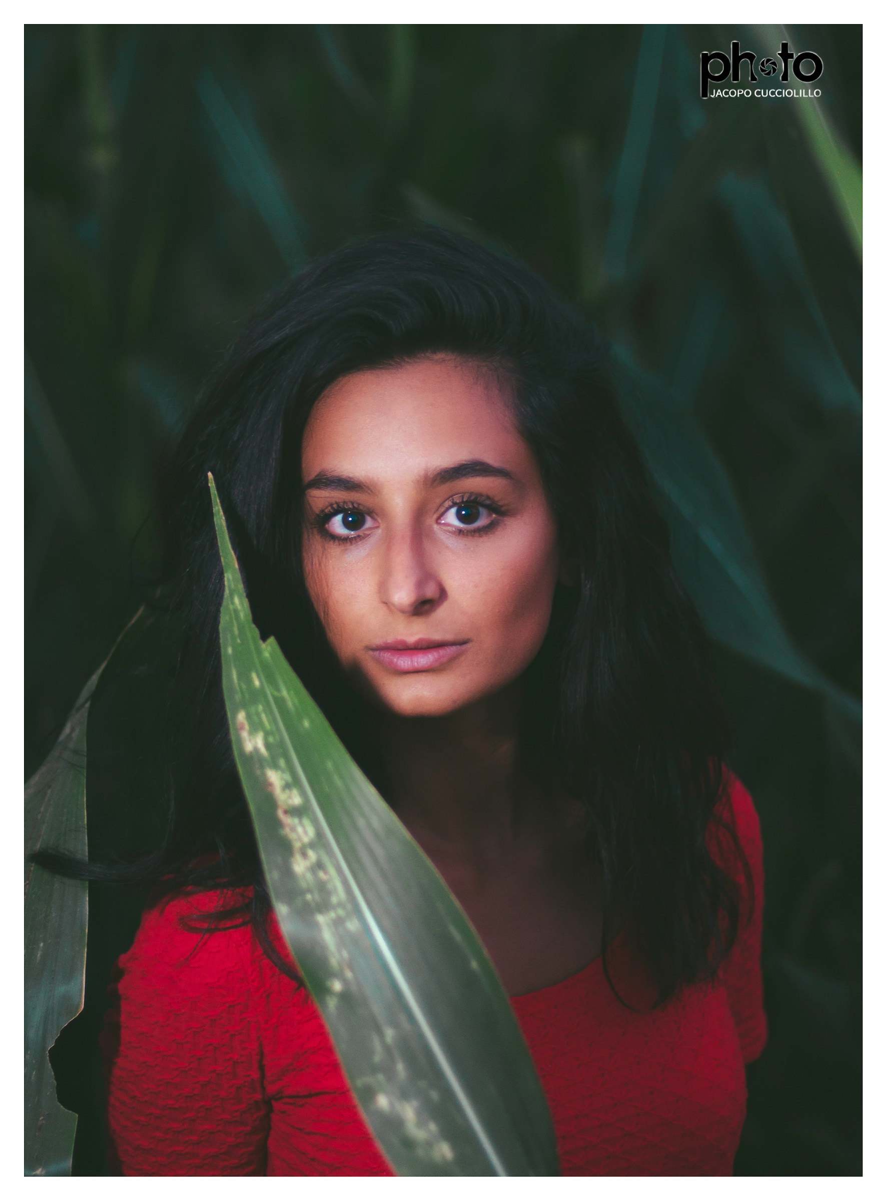 Portrait between the cobwebs