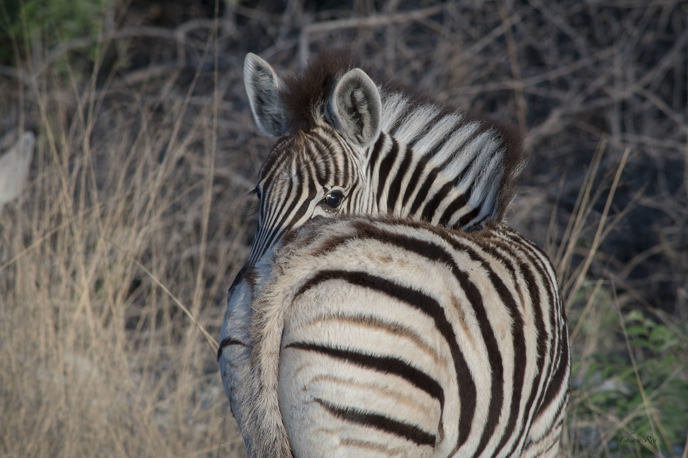 Do you want to follow me?